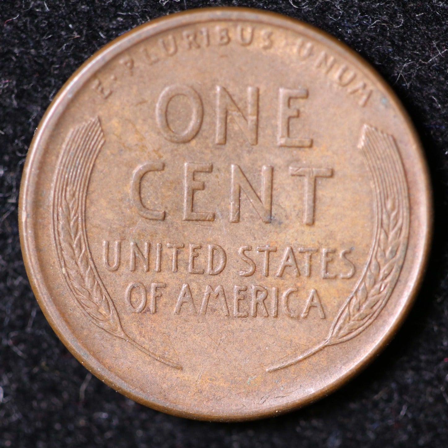 1919-S Lincoln Cent, About Uncirculated+ Coin, Store #40039