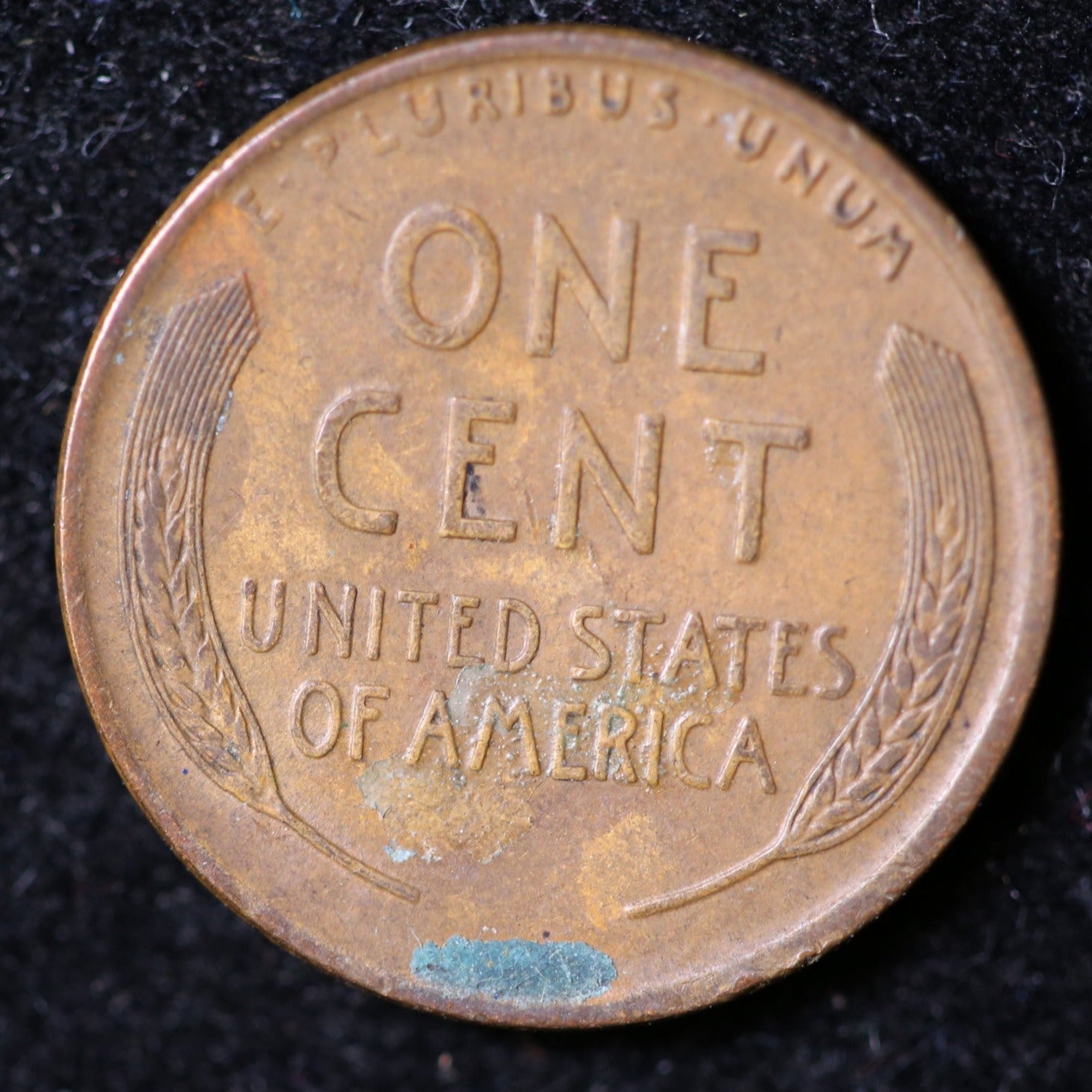 1924 Lincoln Cent, Extra Fine+ Circulated Coin, Store #40061