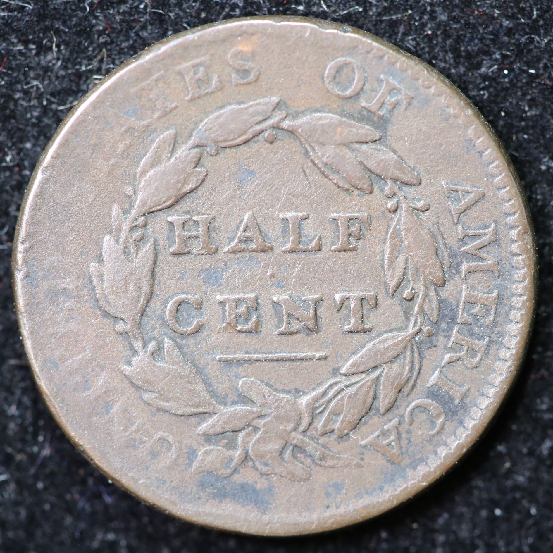 1811 Classic Head Half Cent, Affordable Collectible Coin. Store #1269102