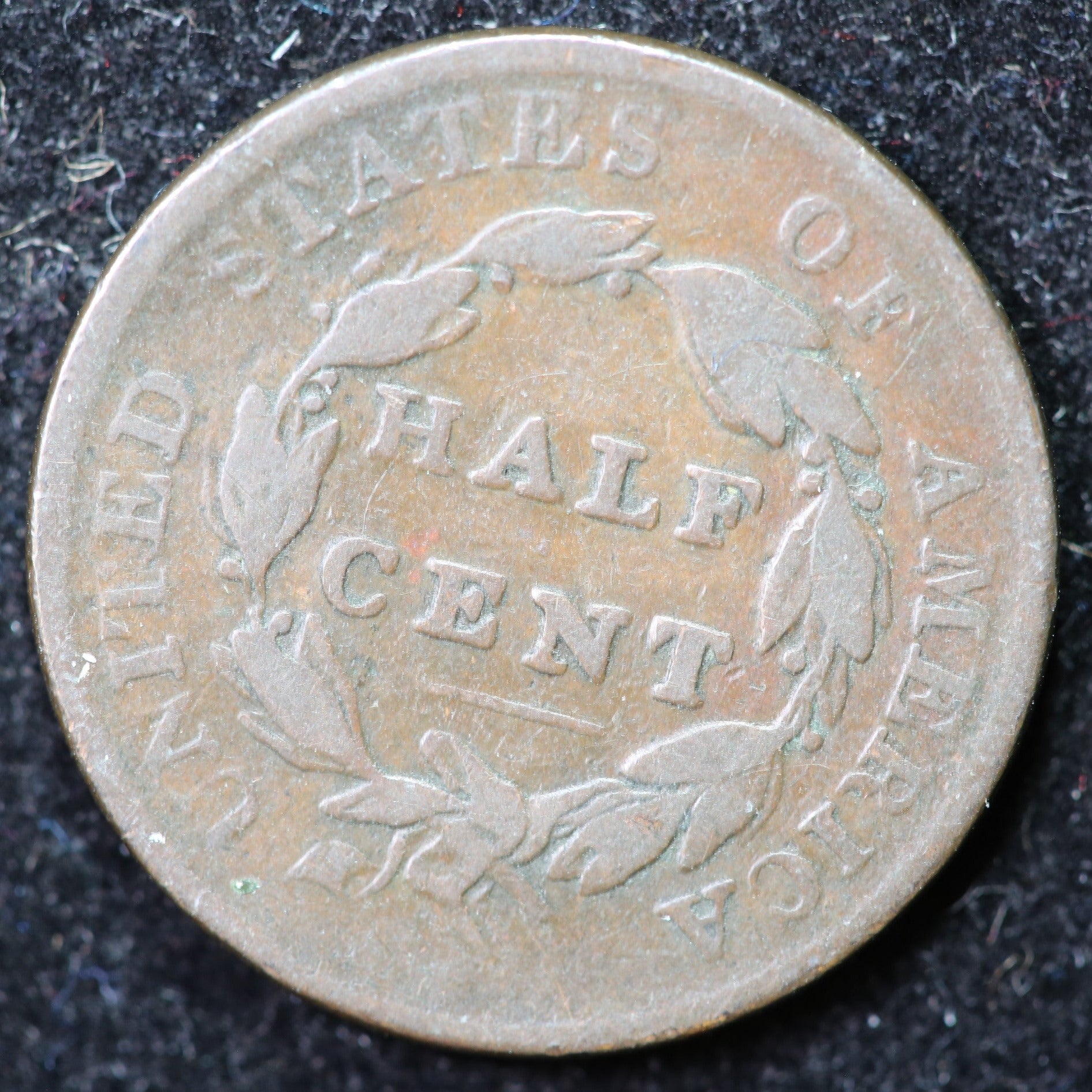 1825 Classic Head Half Cent, Affordable Collectible Coin. Store #1269103
