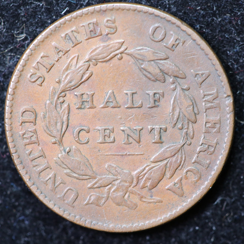 1826 Classic Head Half Cent, Affordable Collectible Coin. Store