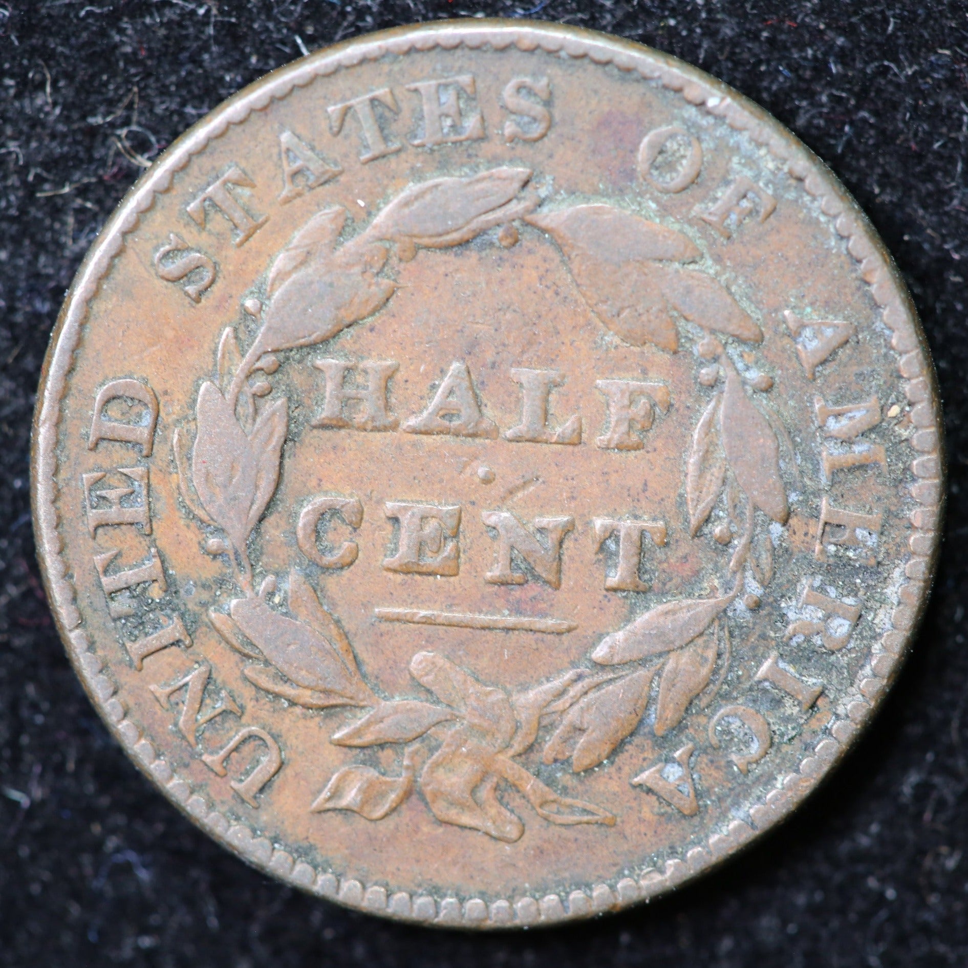 1828 Classic Head Half Cent, Affordable Collectible Coin. Store #1269108