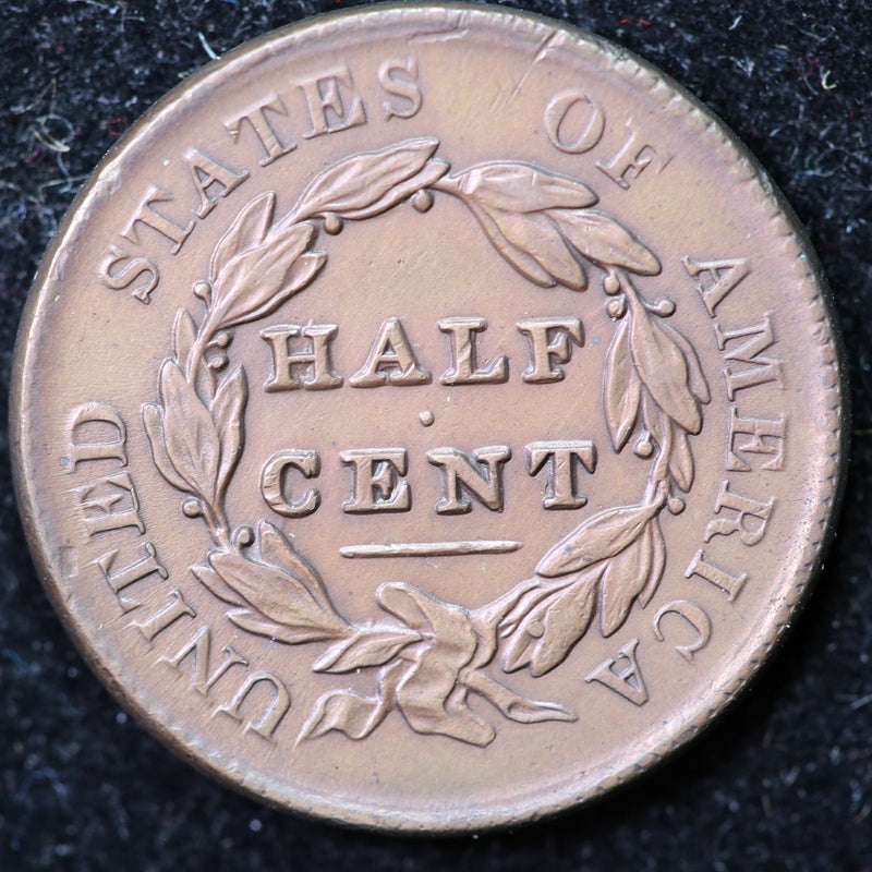 1829 Classic Head Half Cent, Affordable Collectible Coin. Store