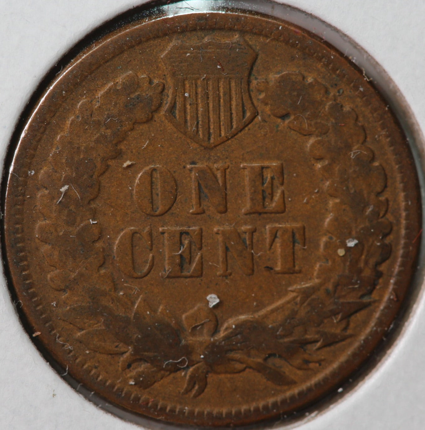 1882 Indian Head Cent, Affordable Circulated Coin, Store #83128