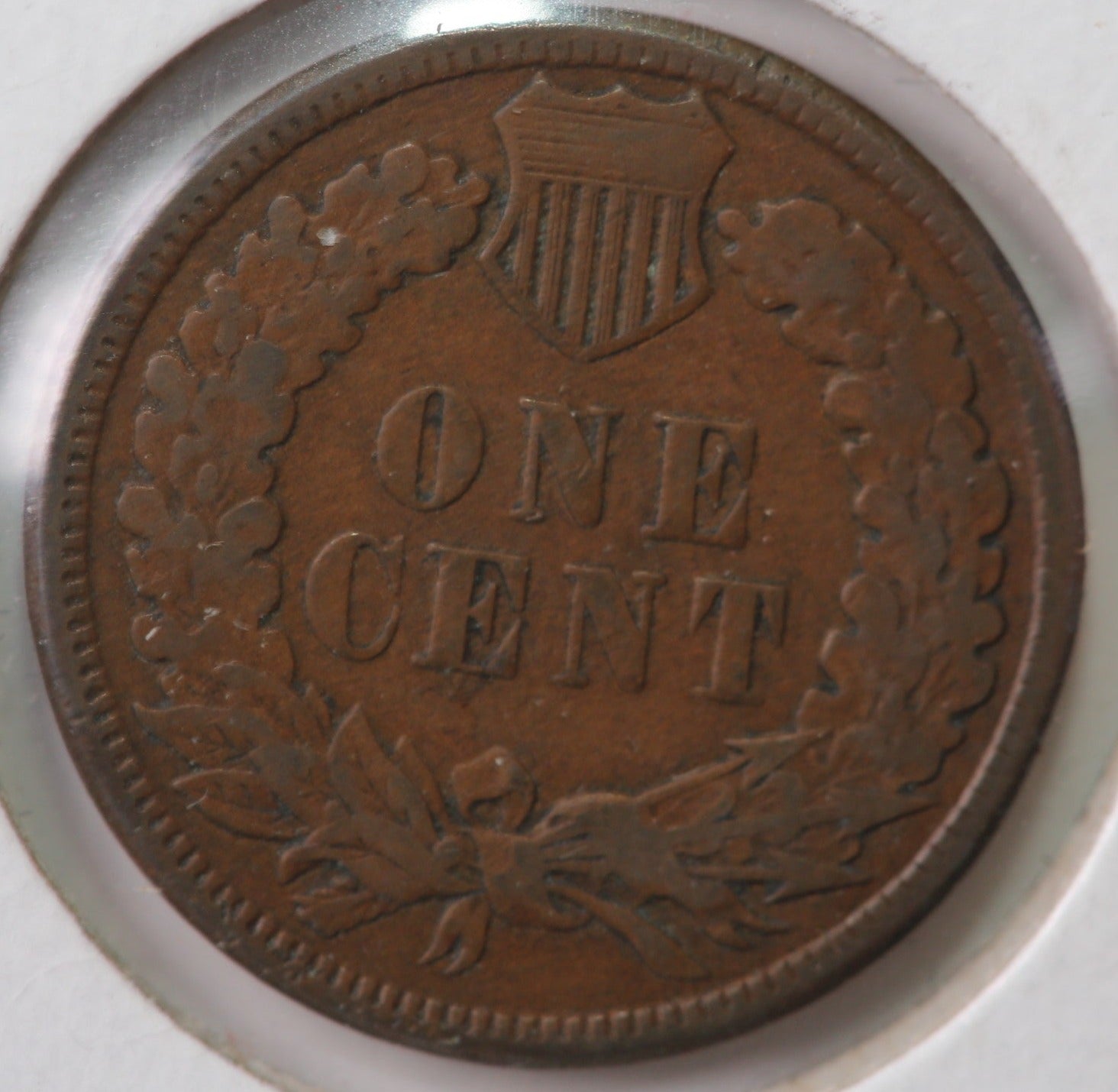 1885 Indian Head Cent, Circulated Coin XF Details, Store #C885.01