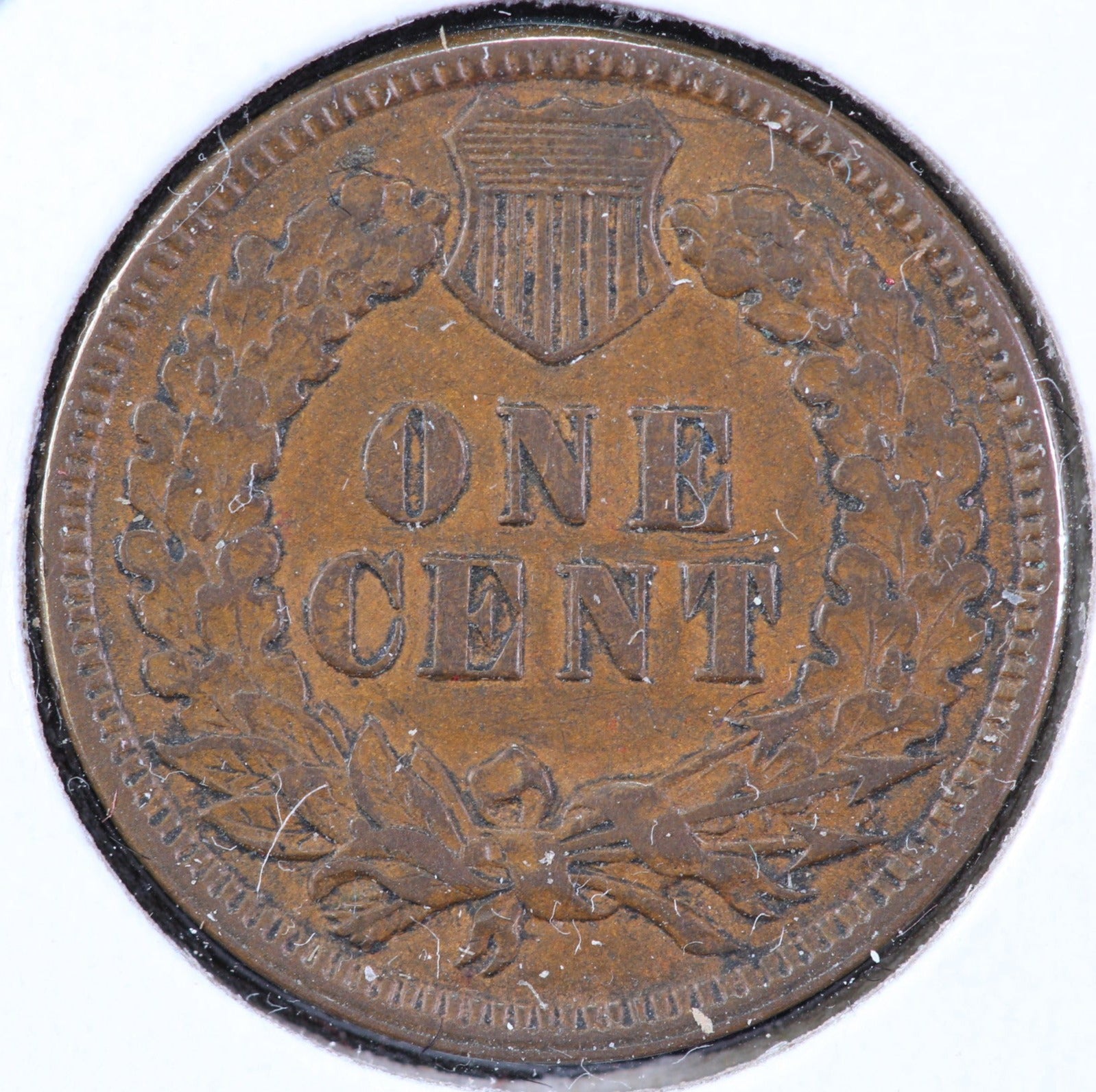 1894 Indian Head Cent, Circulated Affordable Coin, Store #90129