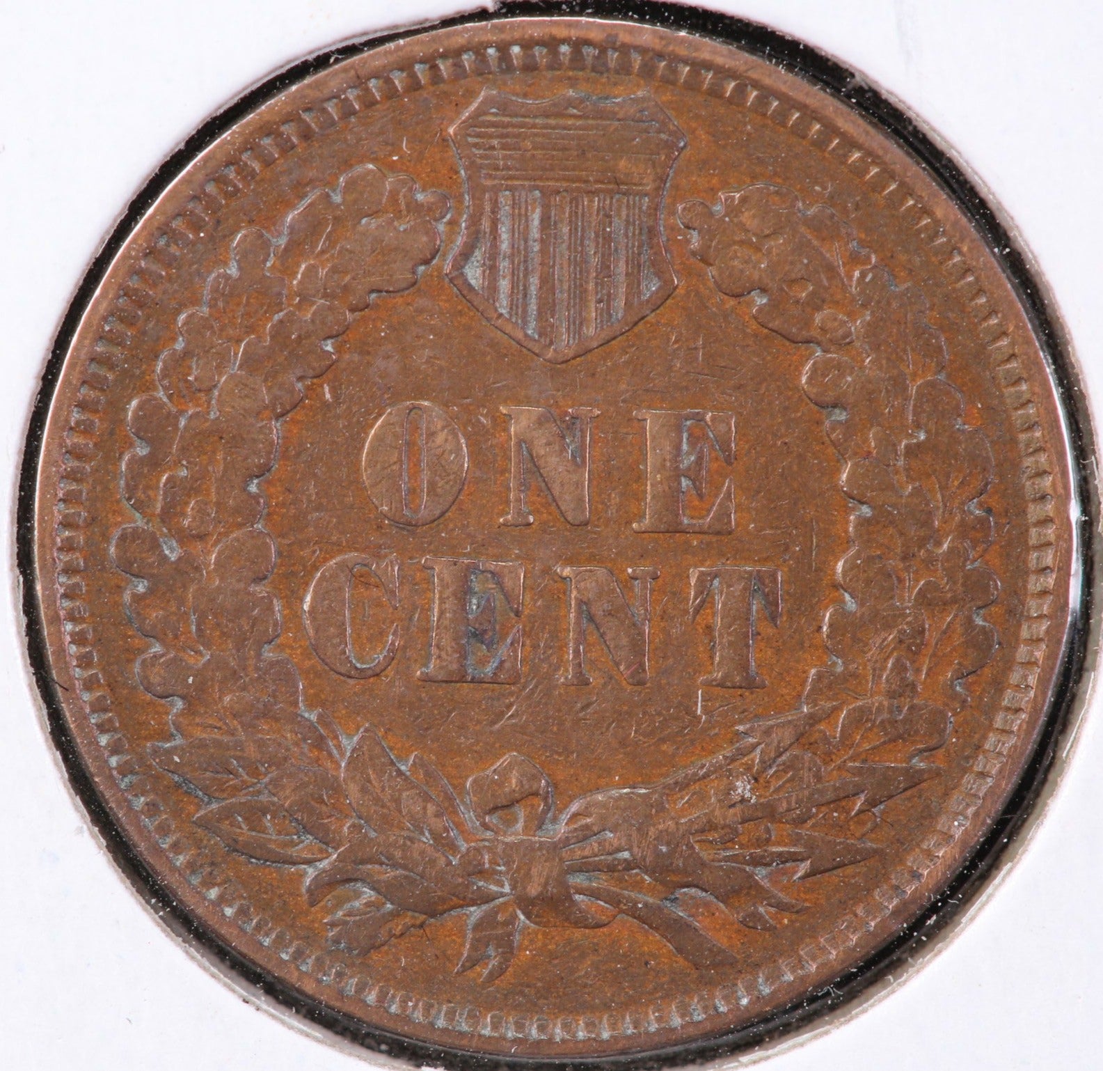 1901 Indian Head Cent, Circulated Affordable Coin, Store #90133