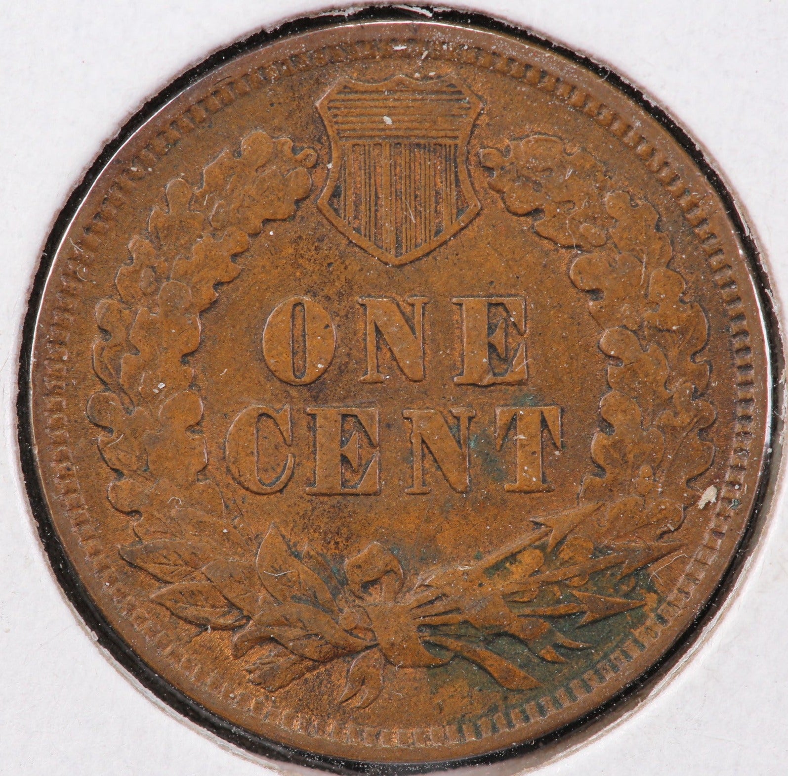 1901 Indian Head Cent, Circulated Affordable Coin, Store #23090134