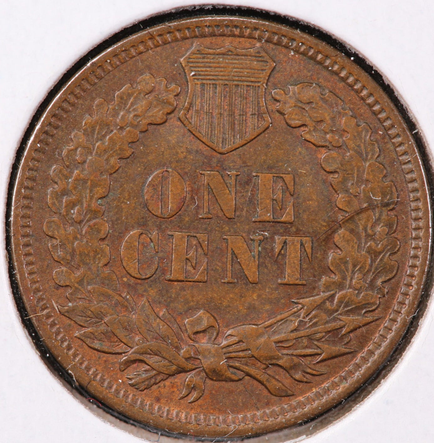 1901 Indian Head Cent, Circulated Affordable Coin, Store #90136