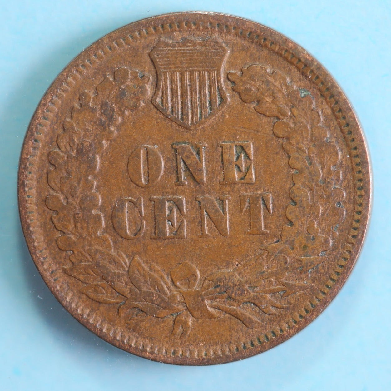 1878 Indian Head Cent, Circulated Affordable Coin, Store #90213