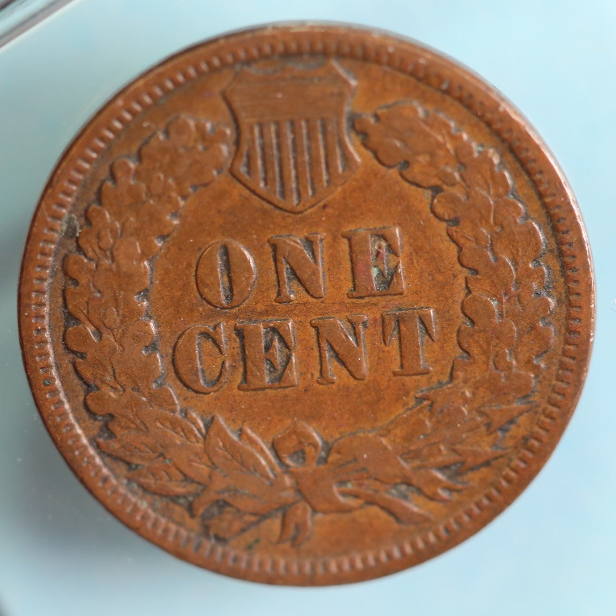 1891 Indian Head Cent, Circulated Affordable Coin, Store #90220