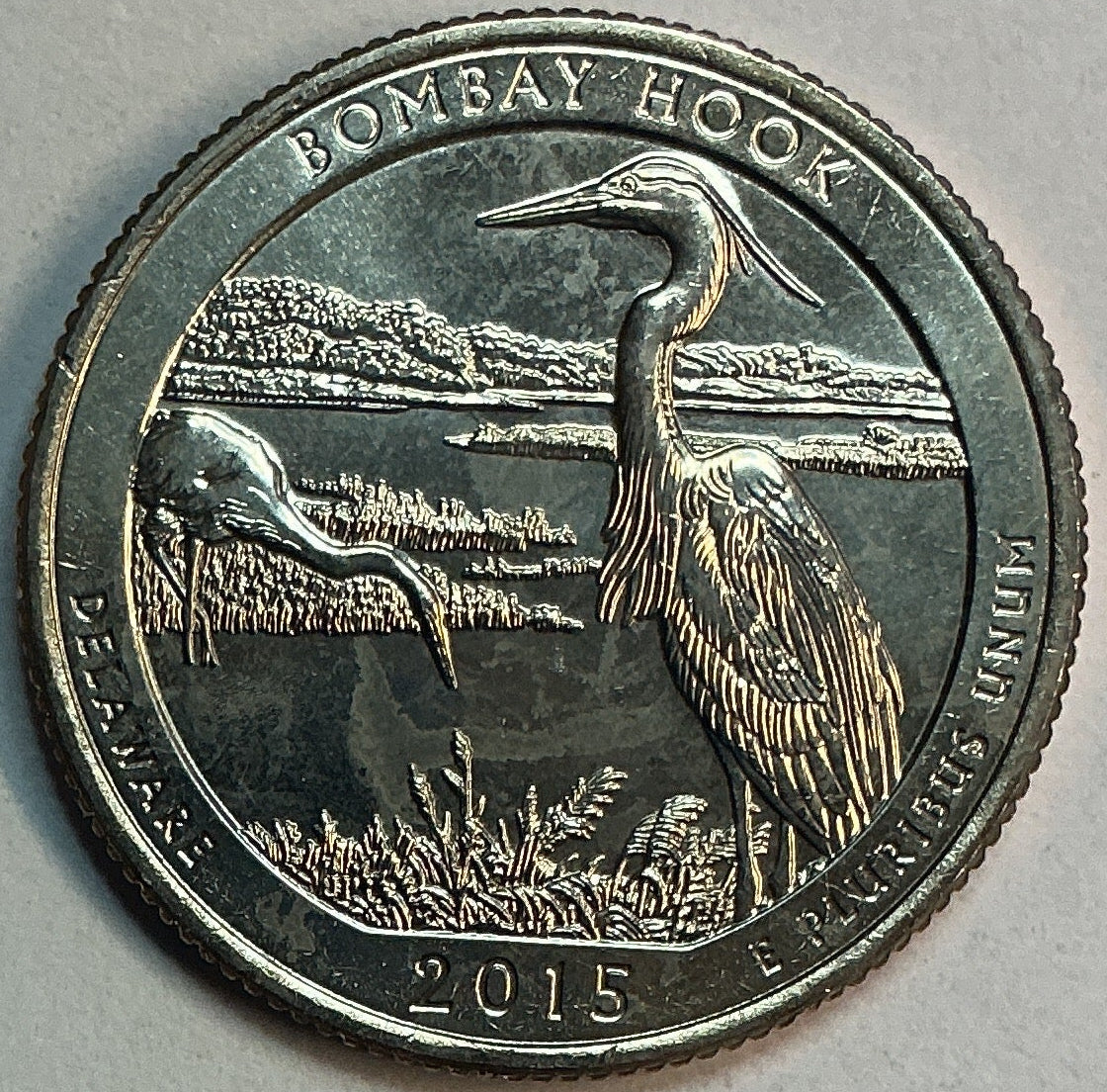 2015-P Uncirculated, Bombay Hook National Wildlife Refuge, Delaware, Washington Quarter