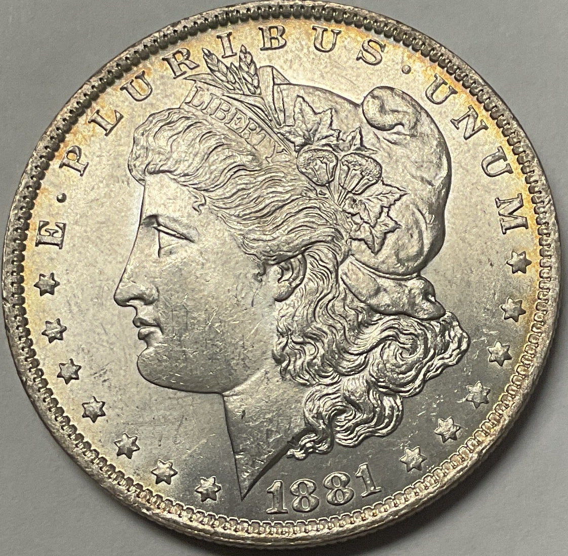 1881 Morgan Dollar, Mint State Uncirculated Coin, Store #DR1566