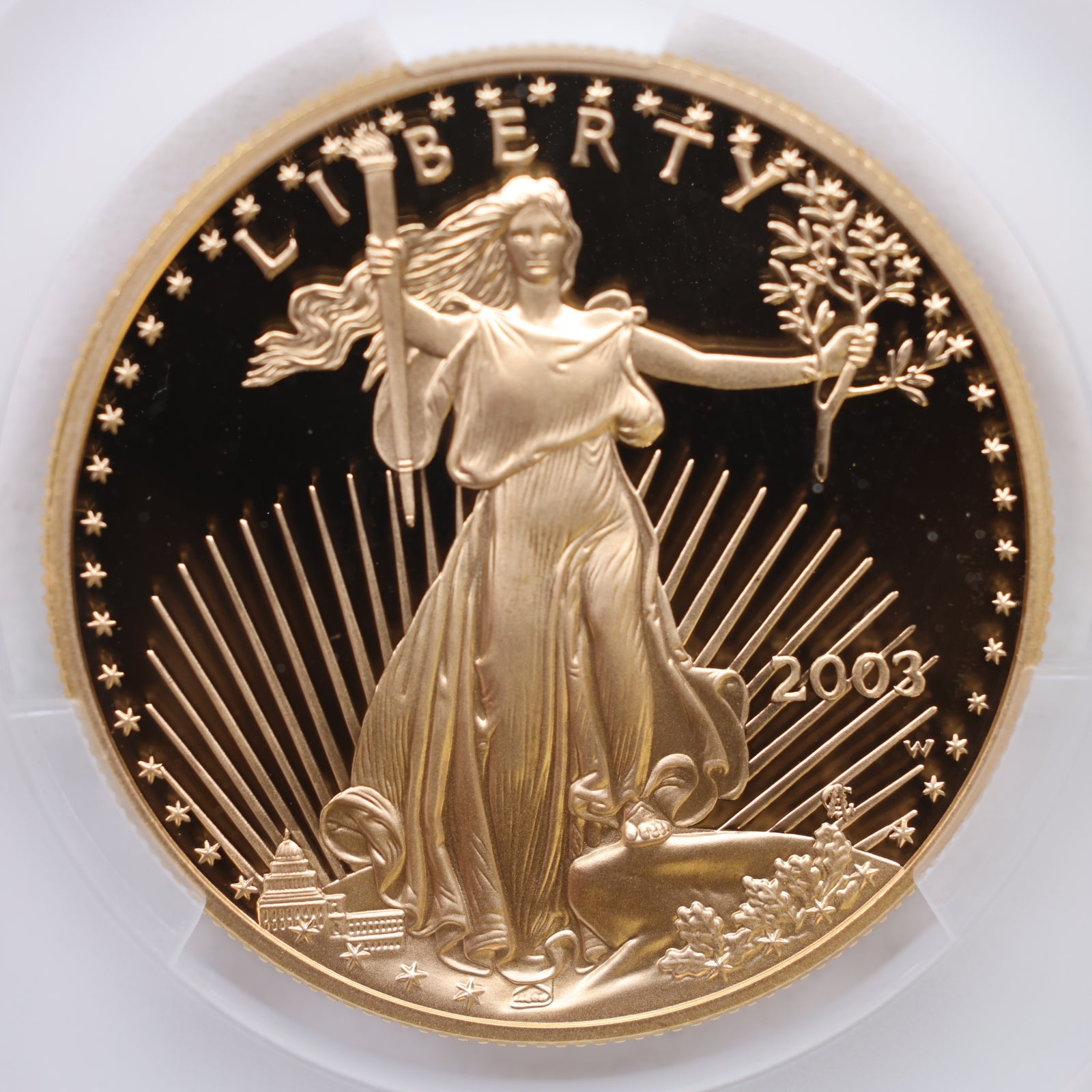 2003-W $50, Proof Gold American Eagle Coin, 1 OZT, CAC PR69, Store #GMC269.