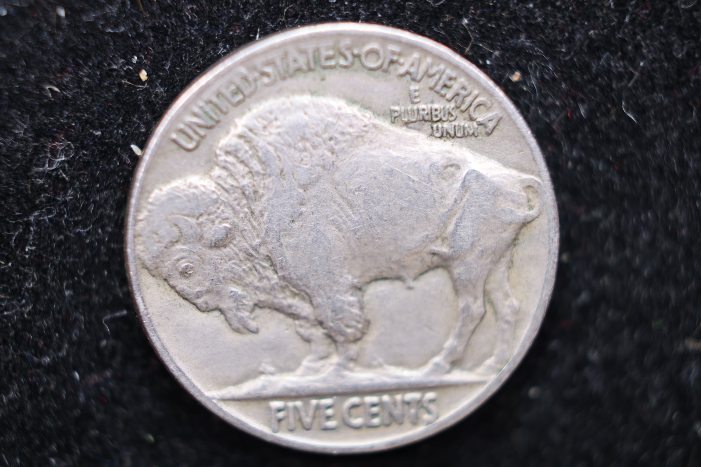 1919 Buffalo Nickel, Affordable Circulated Coin, SALE #88138