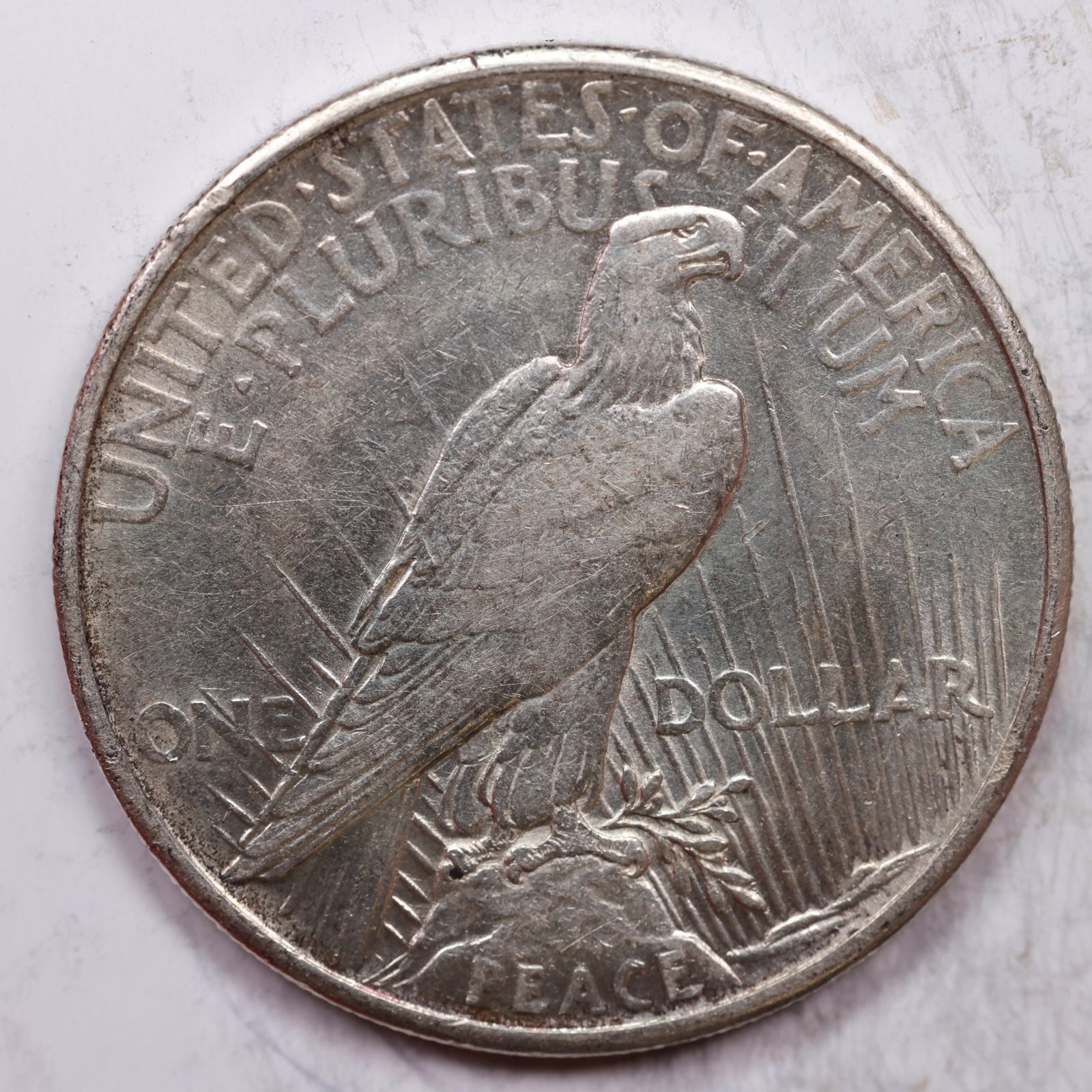 1921 Peace Dollar, About Uncirculated Coin, Store #DR0275