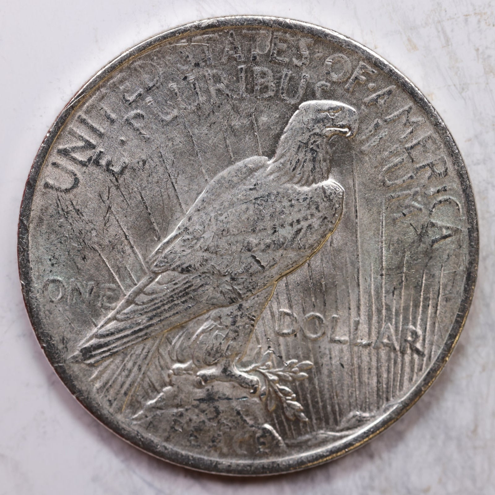 1923 Peace Silver Dollar, Uncirculated Coin, Store Sale #DR0307