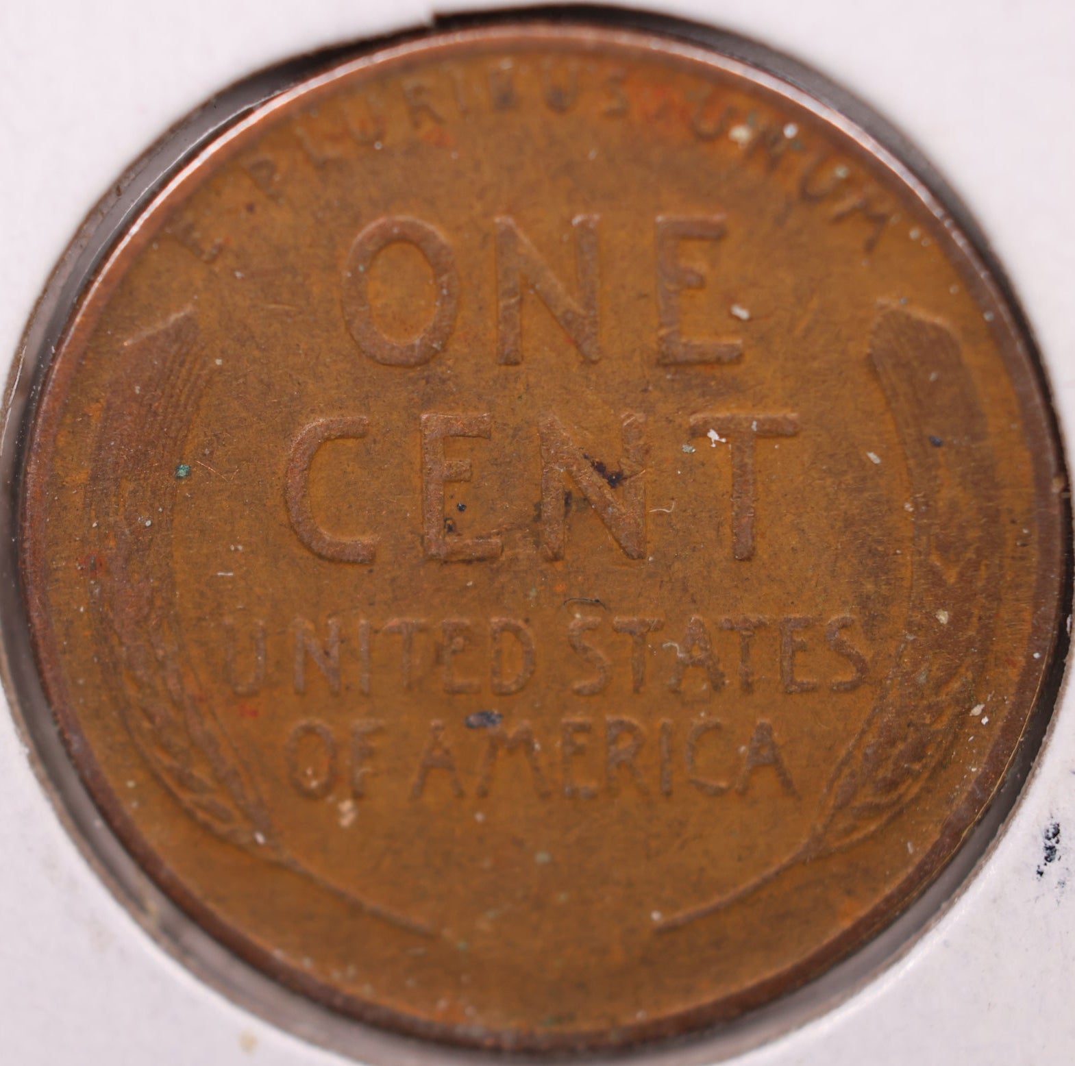 1931 Lincoln Cent, About Uncirculated Coin, Store #CT0928