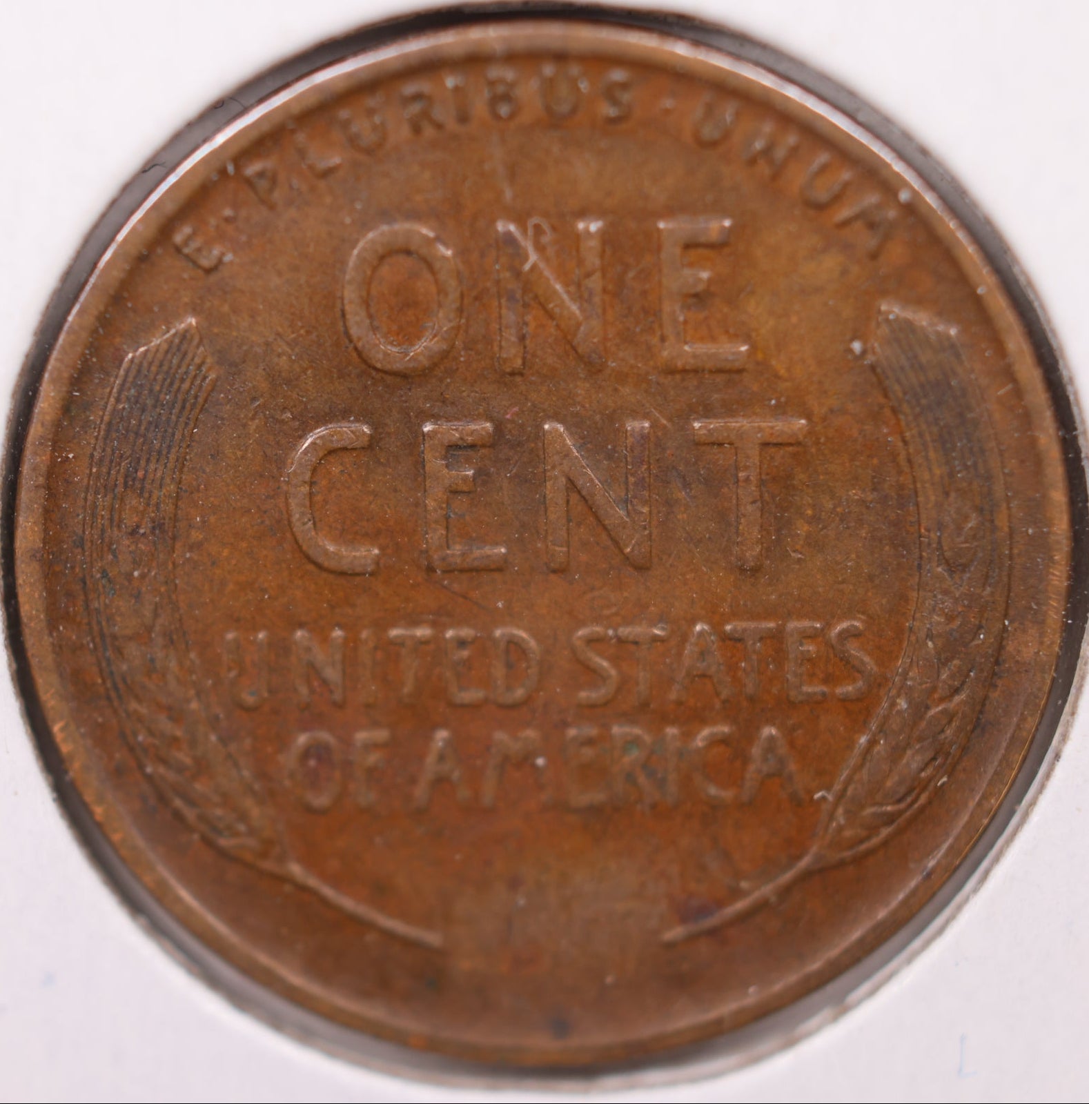 1931 D Lincoln Wheat Cent, About Uncirculated Coin, Store #CT0929