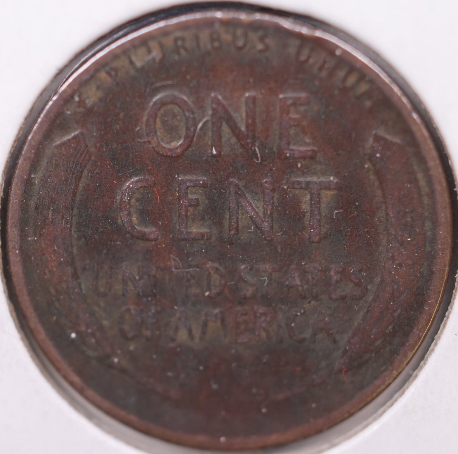 1933 D Lincoln Cent, Extra Fine Circulated Coin, Store #CT0935