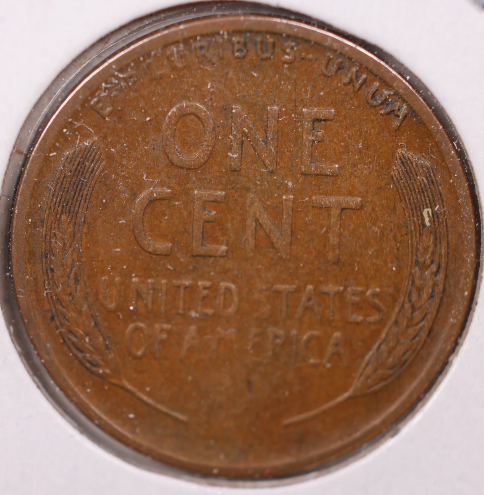 1921 S Lincoln Wheat Cent, About Uncirculated Coin, Store #CT0962