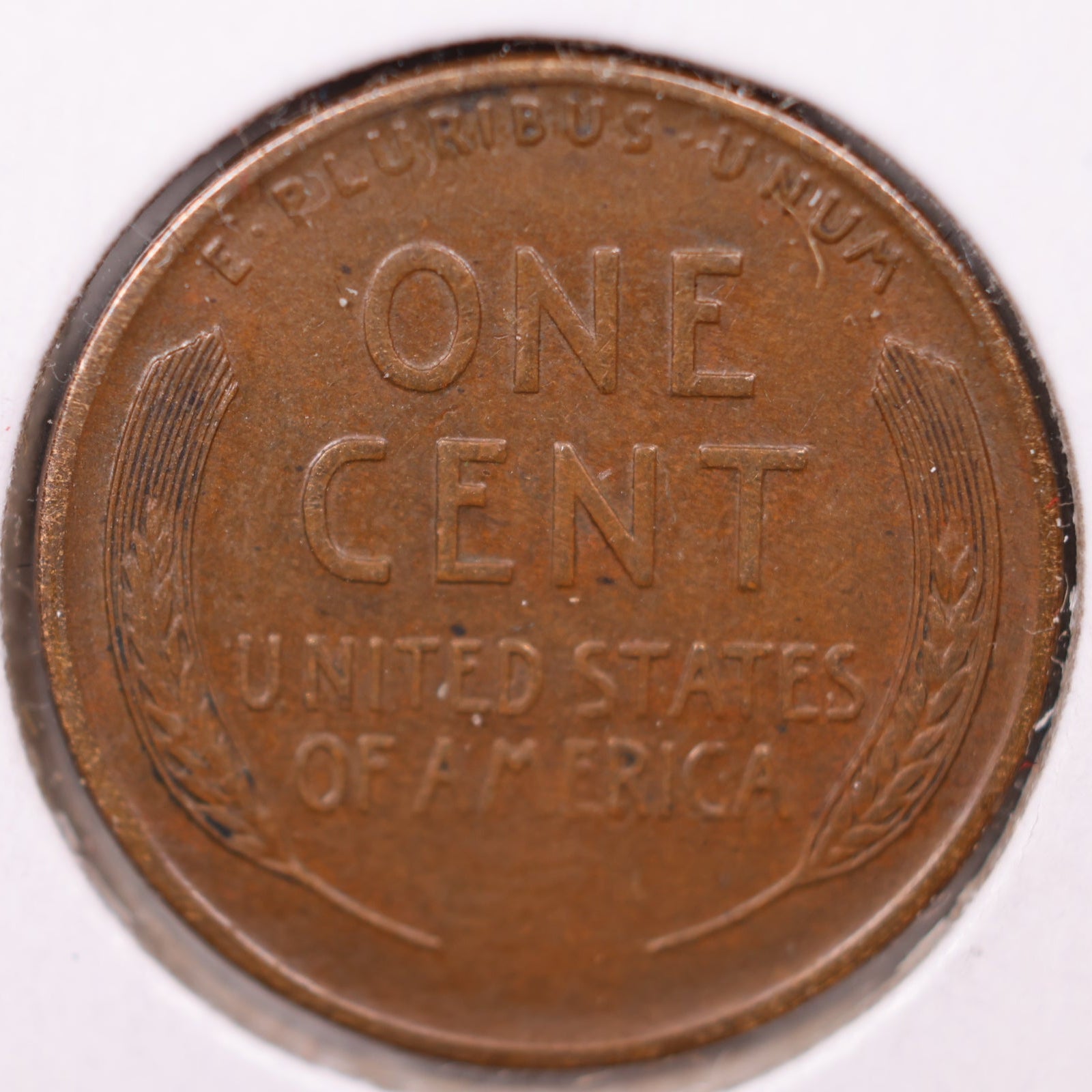 1925 S Lincoln Cent, Mint State Uncirculated Coin, Store #CT0981