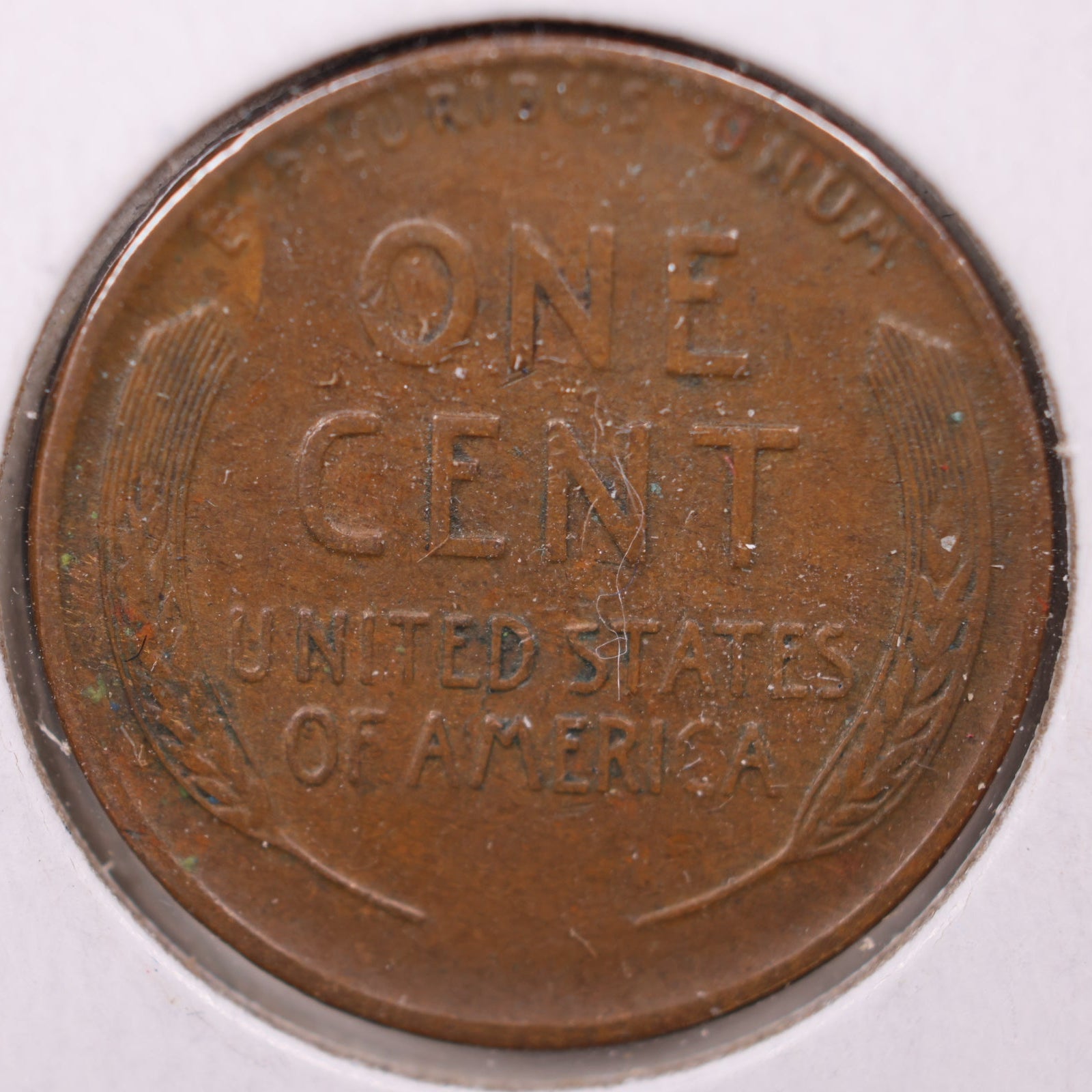 1928 D Chocolate Brown Lincoln Cent, Mint State Uncirculated Coin, Store #CT1006