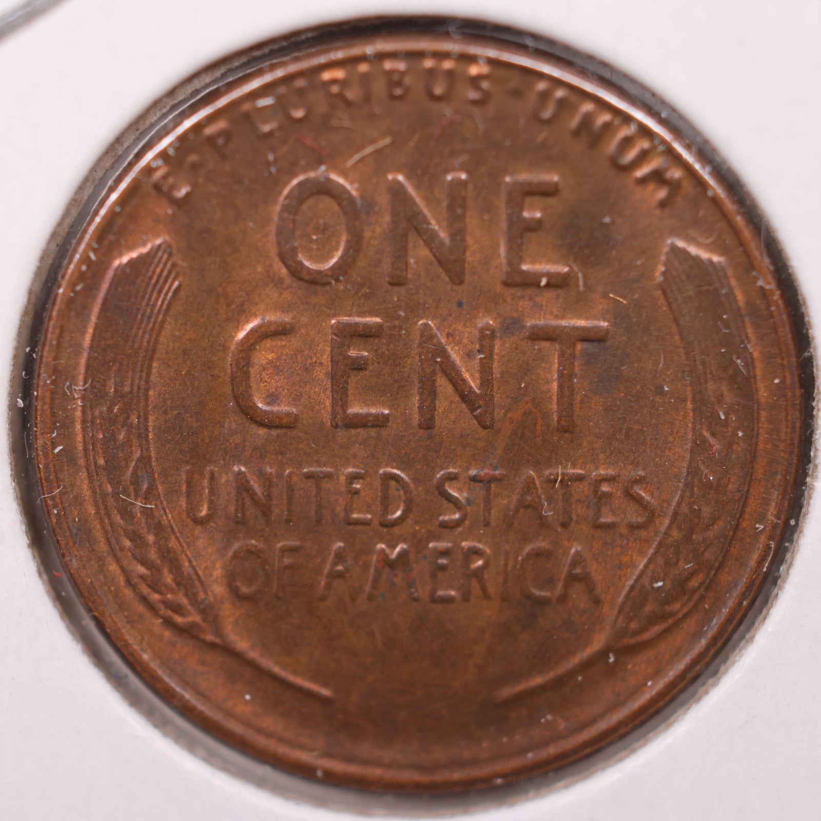 1929 S Lincoln Cent, About Uncirculated Coin, Store #CT10124