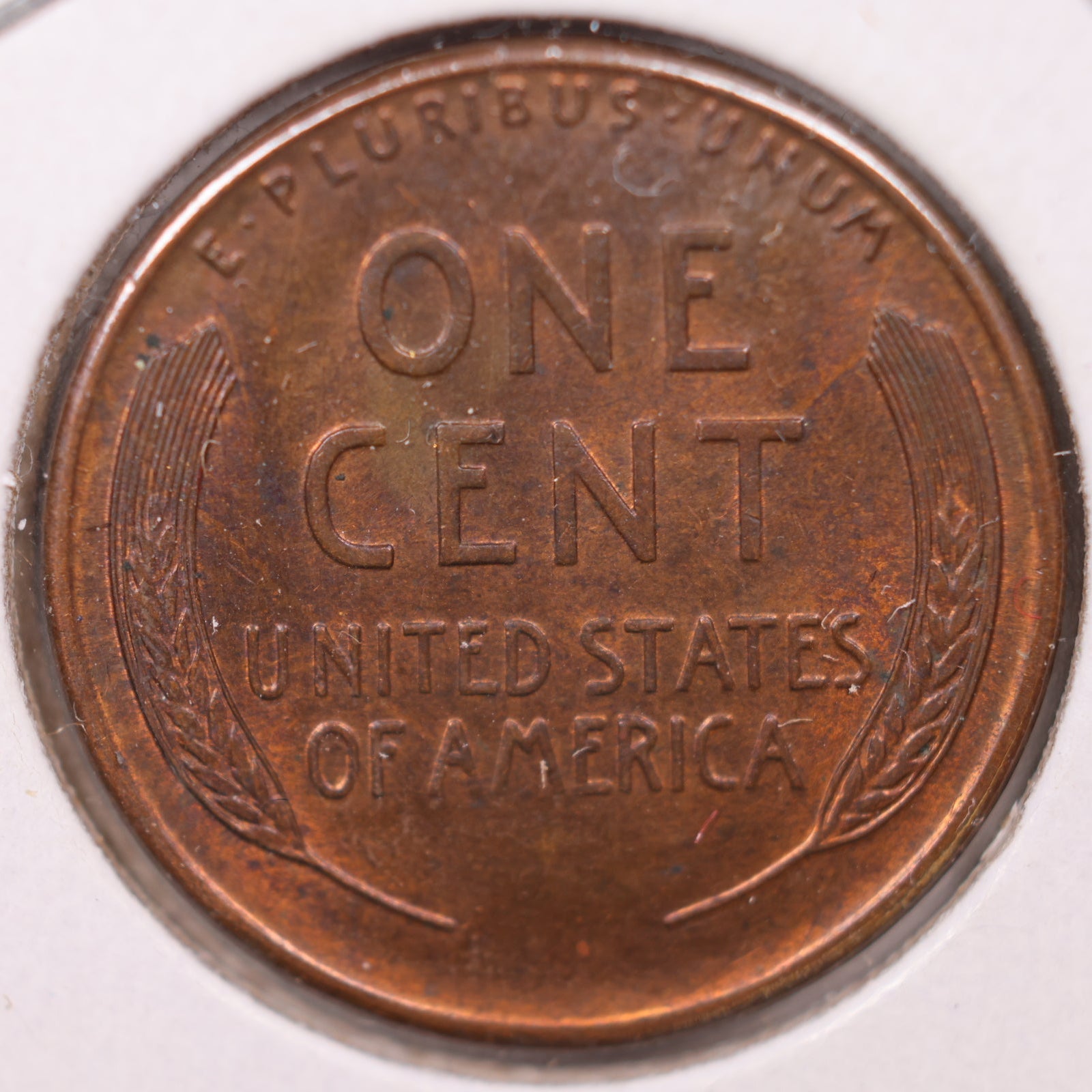1929 S Lincoln Cent, About Uncirculated Coin, Store #CT10127