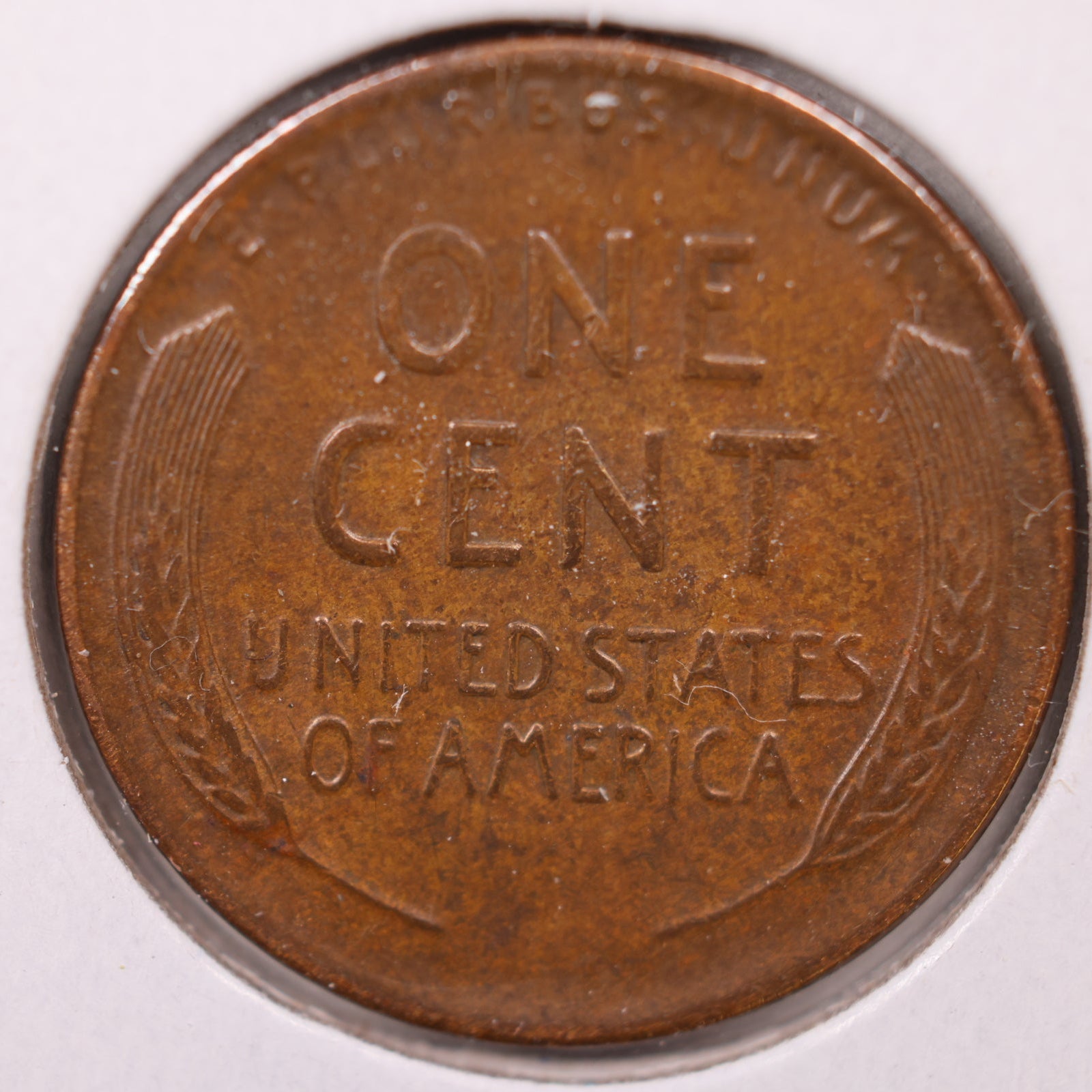 1934 D Wheat Cent, Extra Fine Circulated Coin, Store #CT10159