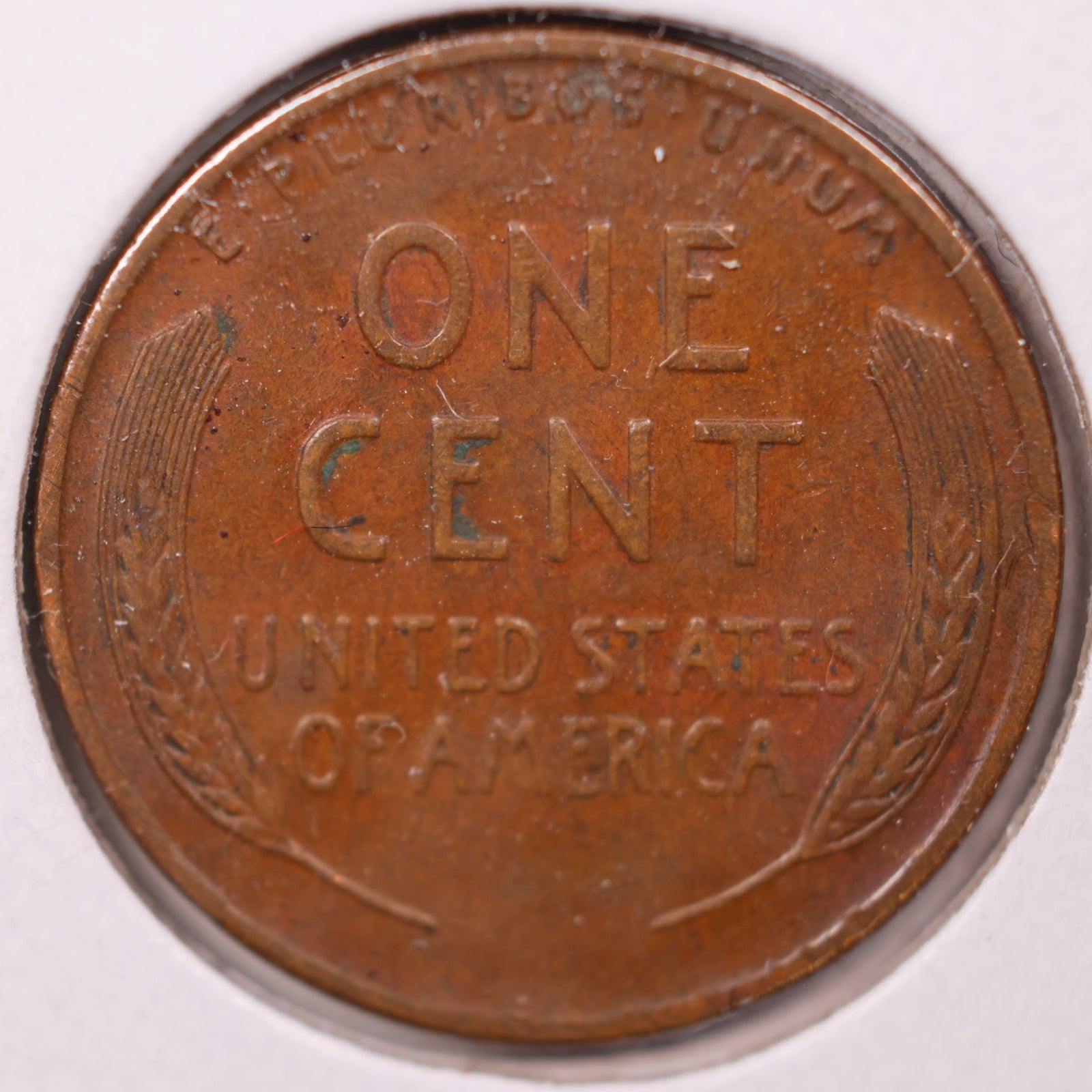 1937-D Lincoln Cent, About Uncirculated Coin, Store #CT1083