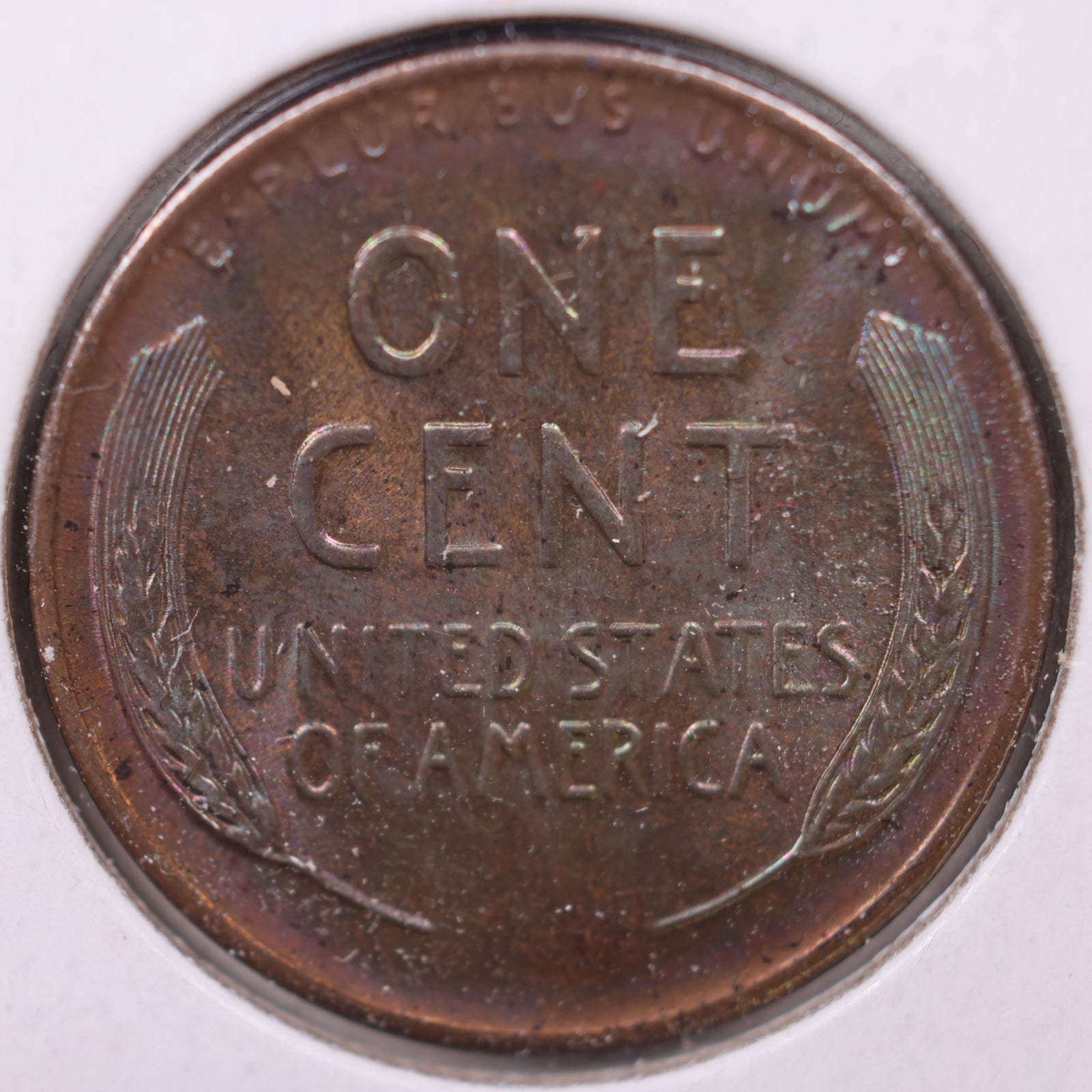 1937 D Chocolate Brown Wheat Cent, Mint State Uncirculated Coin, Store #CT10185