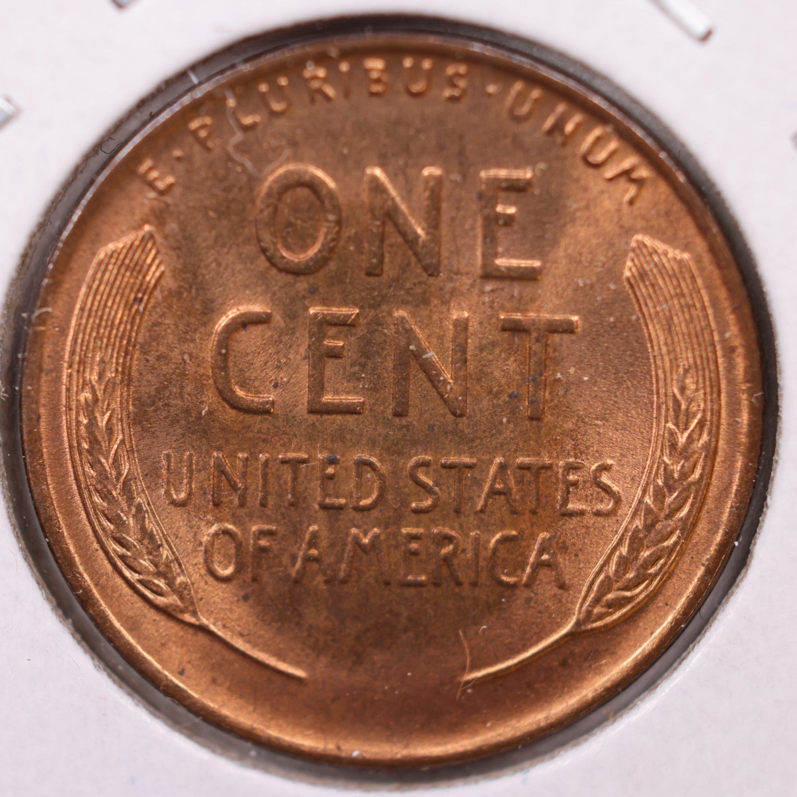 1937-D Lincoln Cent, Mint State RD Uncirculated Coin, Store #CT1086