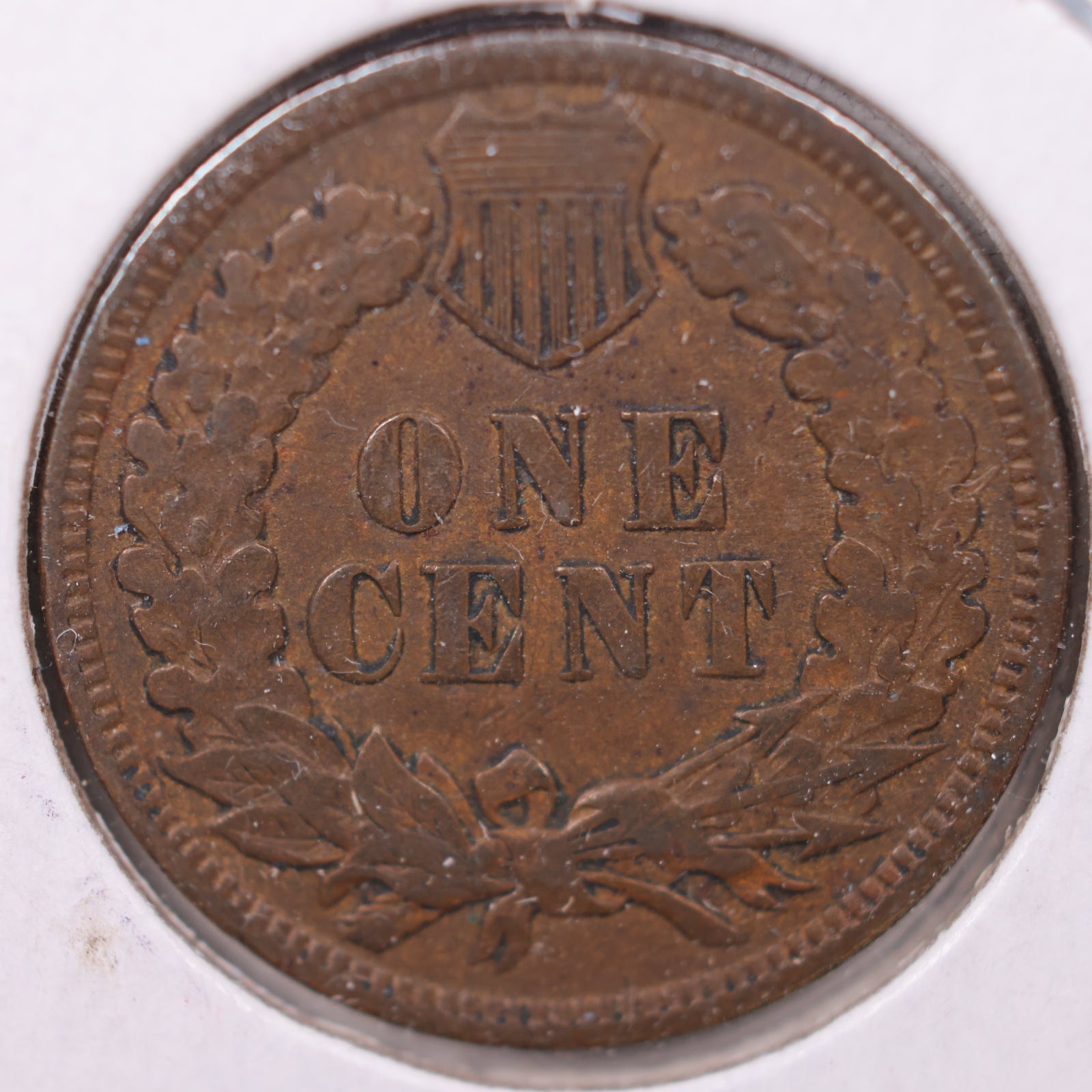 1901 Indian Head Cent, Very Good Circulated Coin, Store #CT1113