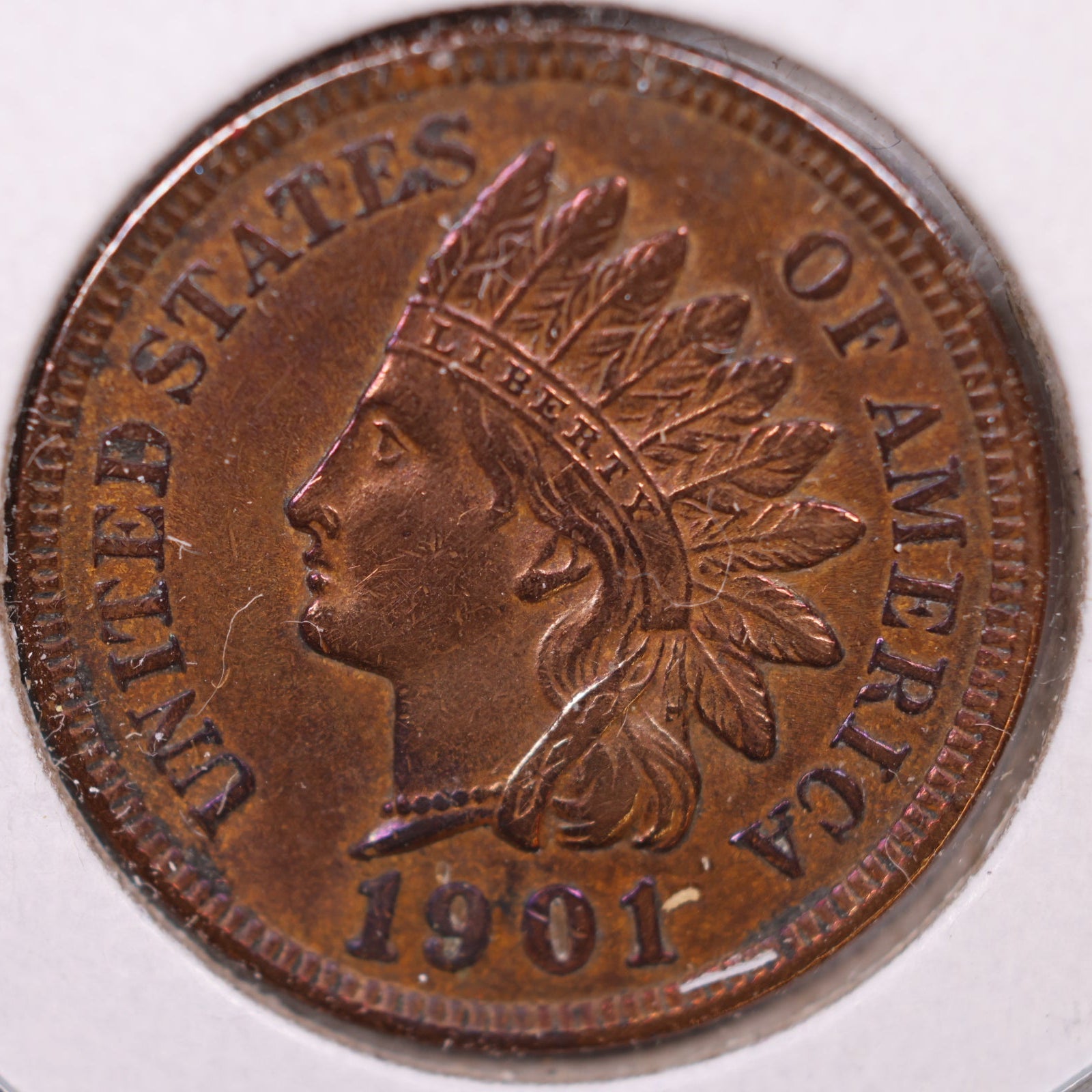 1901 Indian Head Cent, Extra Fine Detail Circulated Coin, Store #CT1114