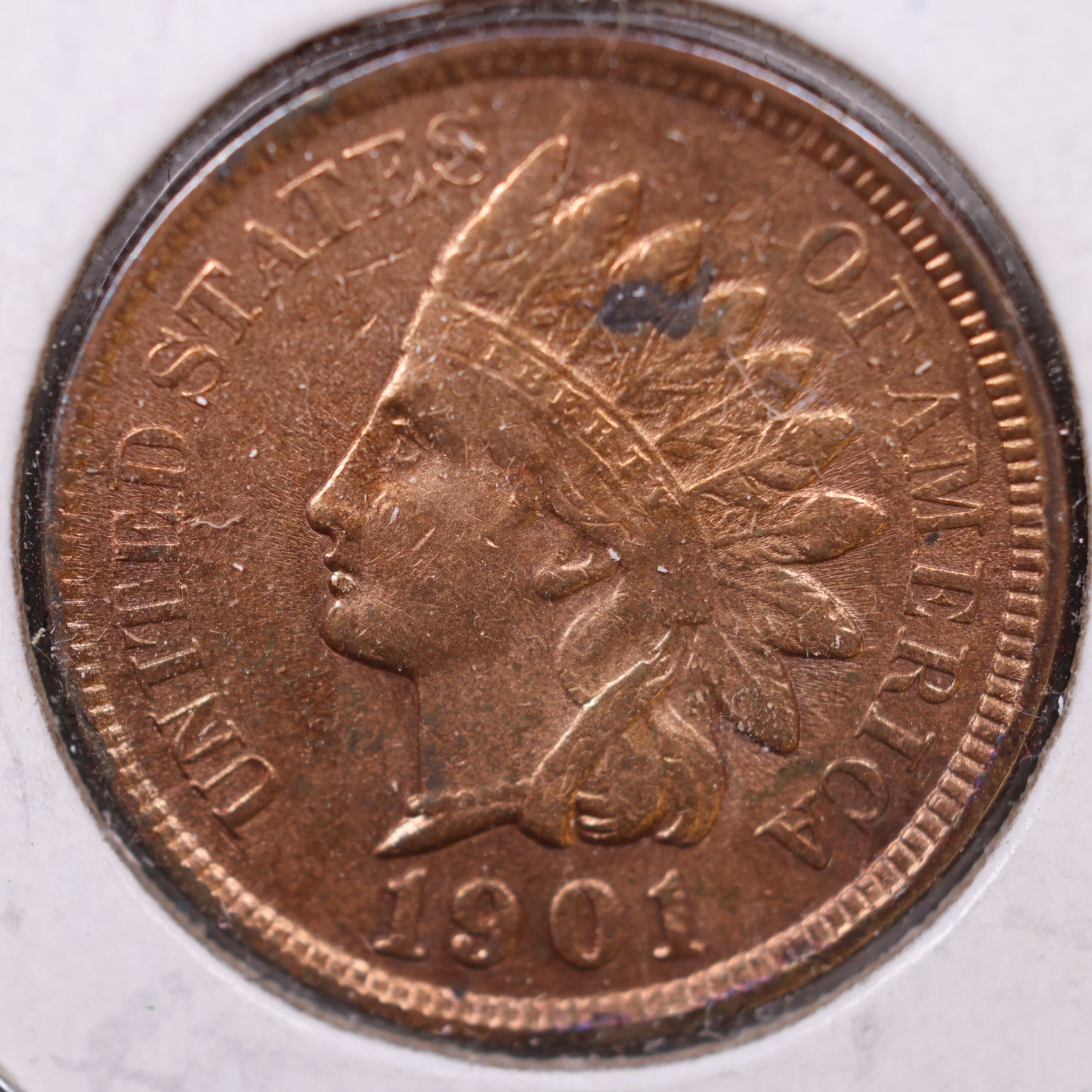 1901 Indian Head Cent, Mint State Uncirculated Coin, Store #CT1115