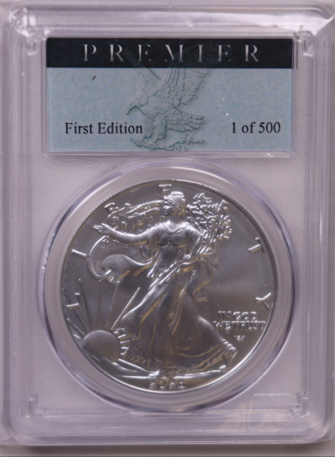 2023-W Burnished American Silver Eagle, First Edition, PCGS SP-70, Store#AE0384