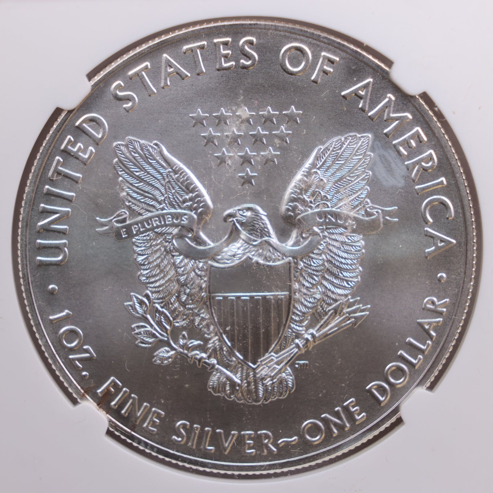 2020(W) American Silver Eagle, Business Strike, NGC MS70, Store #GSE019