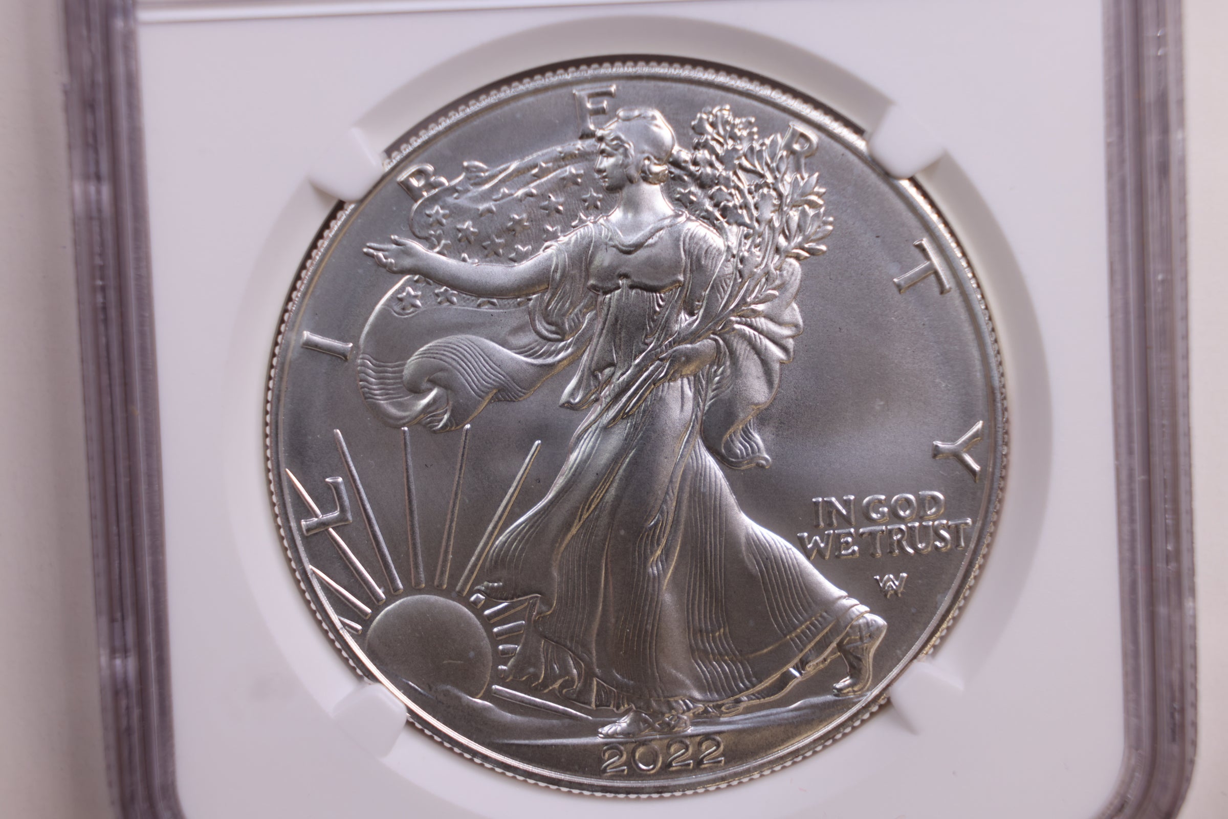 2022-W American Silver Eagle, Burnished Strike, NGC MS-70, Store #GSE027