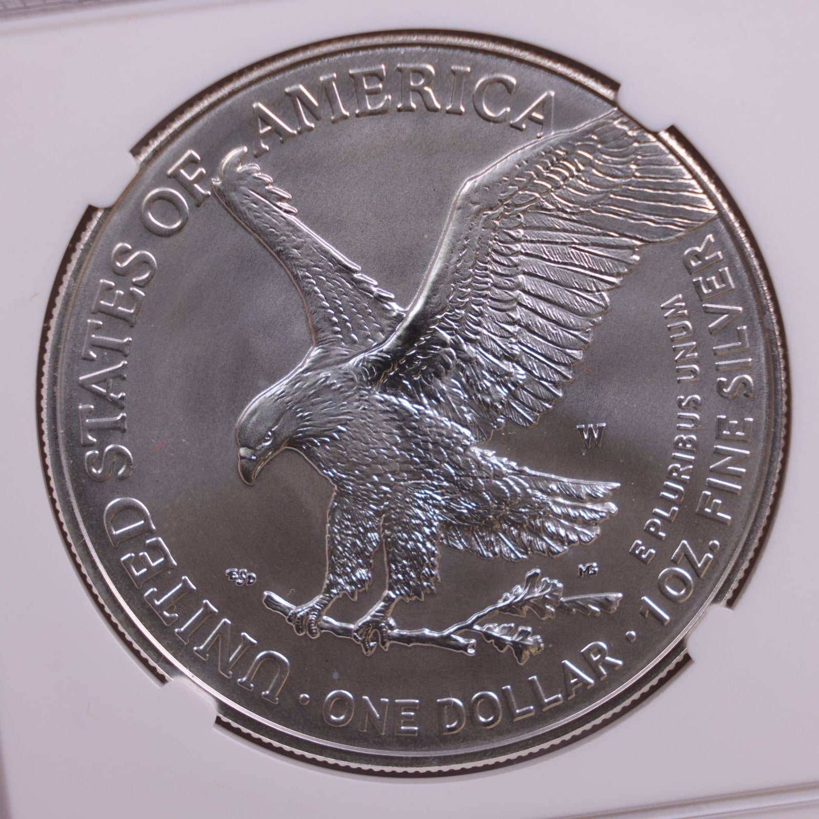 2022-W American Silver Eagle, Burnished Strike, NGC MS-70, Store #GSE030