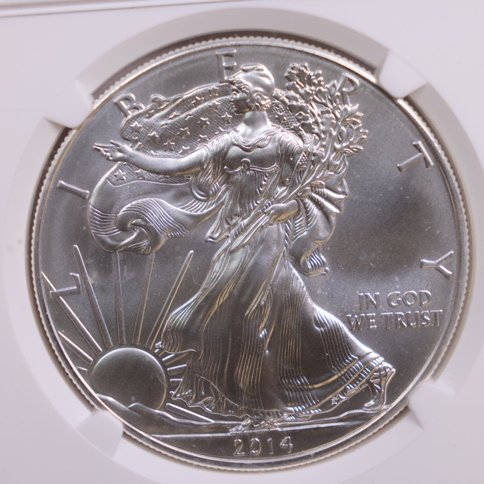 2014 American Silver Eagle., Business Strike., NGC MS-70, Store #GSE032