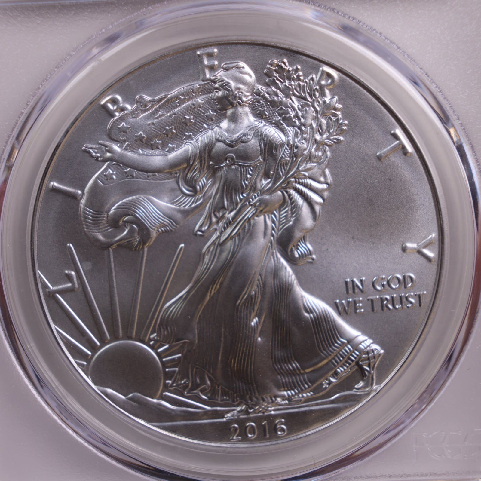 2016 American Silver Eagle, Business Strike, NGC MS-70, Store #GSE055