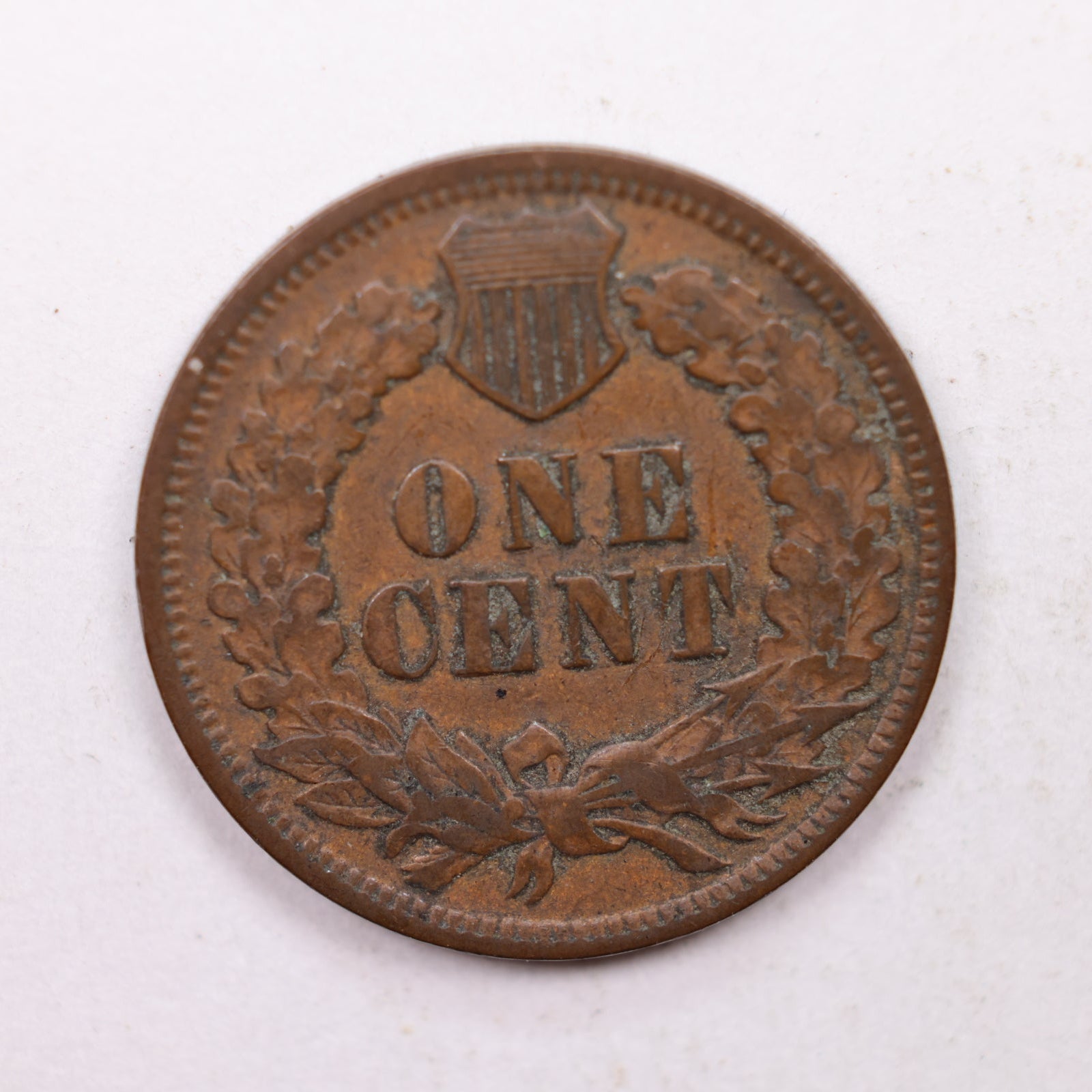 1900 Indian Head Cent, Extra Fine Circulated, Affordable Coin, Store #CT1221.