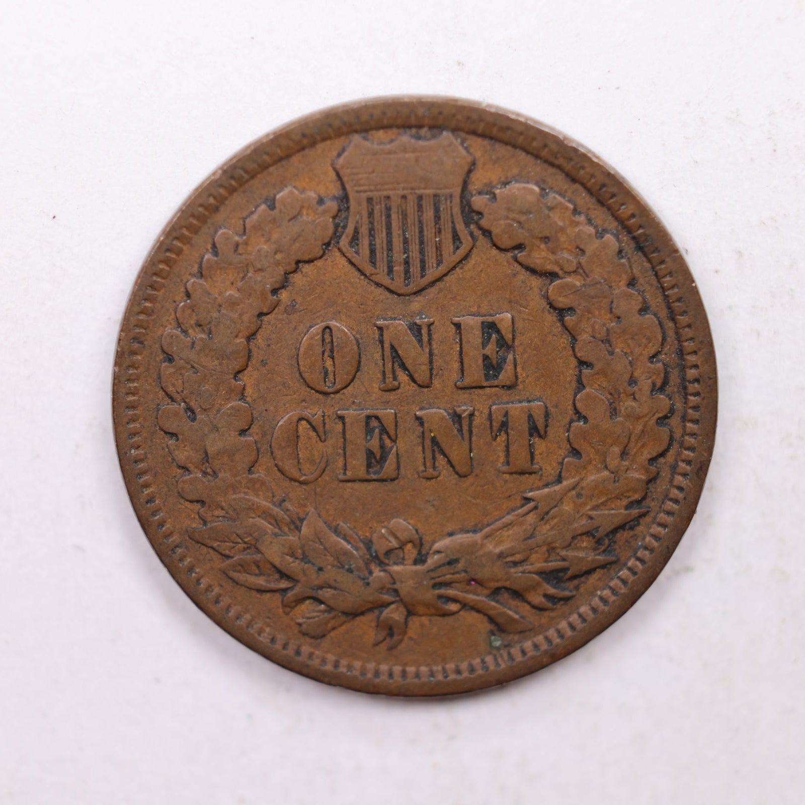 1901 Indian Head Cent, Fine Circulated, Affordable Coin, Store #CT1223.