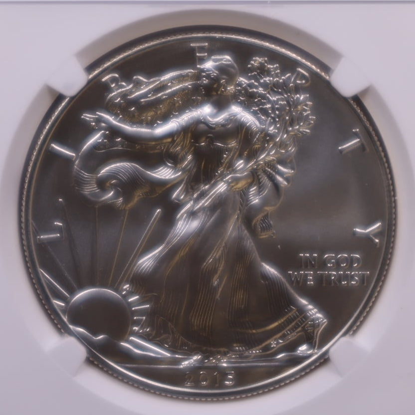 2015-W Burnished American Silver Eagle, NGC MS-70, Store#AE0421