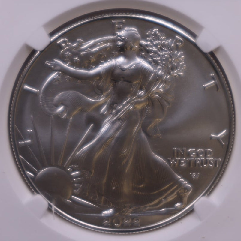 2022-W Burnished American Silver Eagle, NGC MS-70, Store#AE0425