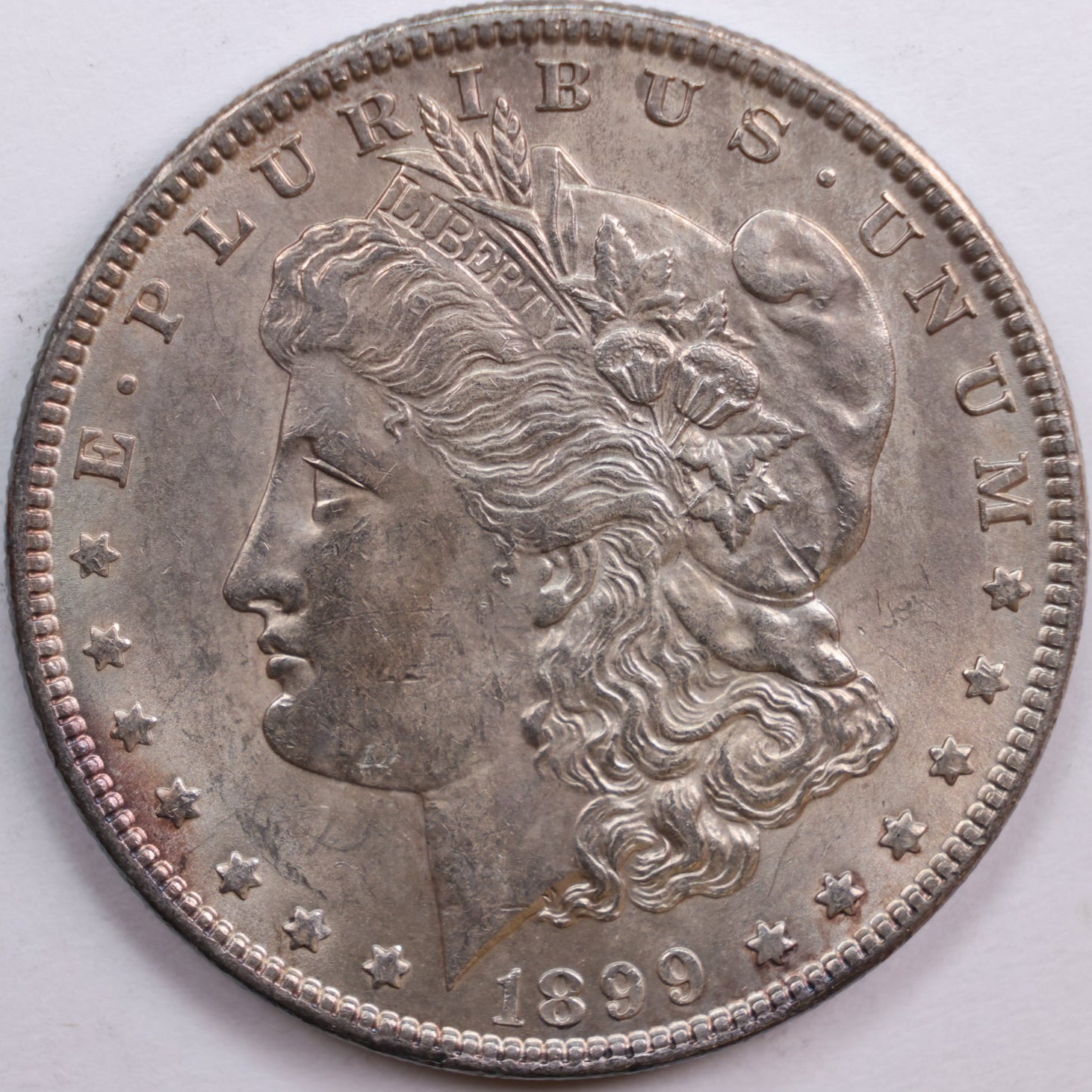 1899 Morgan Dollar, Mint State Uncirculated Coin, Store #DR0830