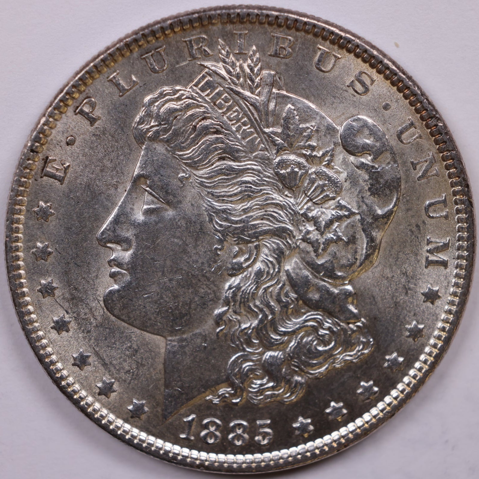 1885 Morgan Silver Dollar, Mint State-Uncirculated Coin, Store #DR1529