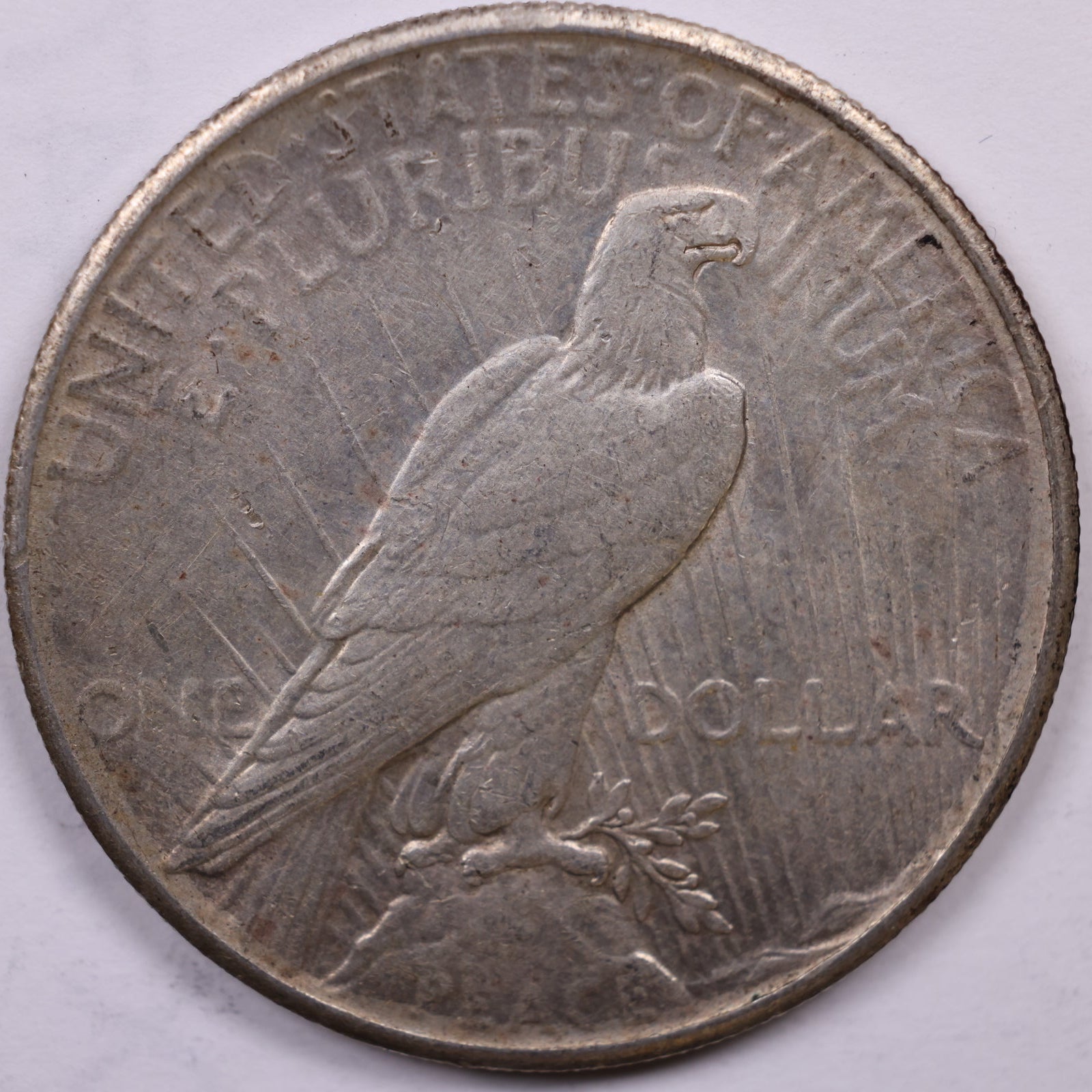1926 Peace Dollar, About Uncirculated, Store #DR1555