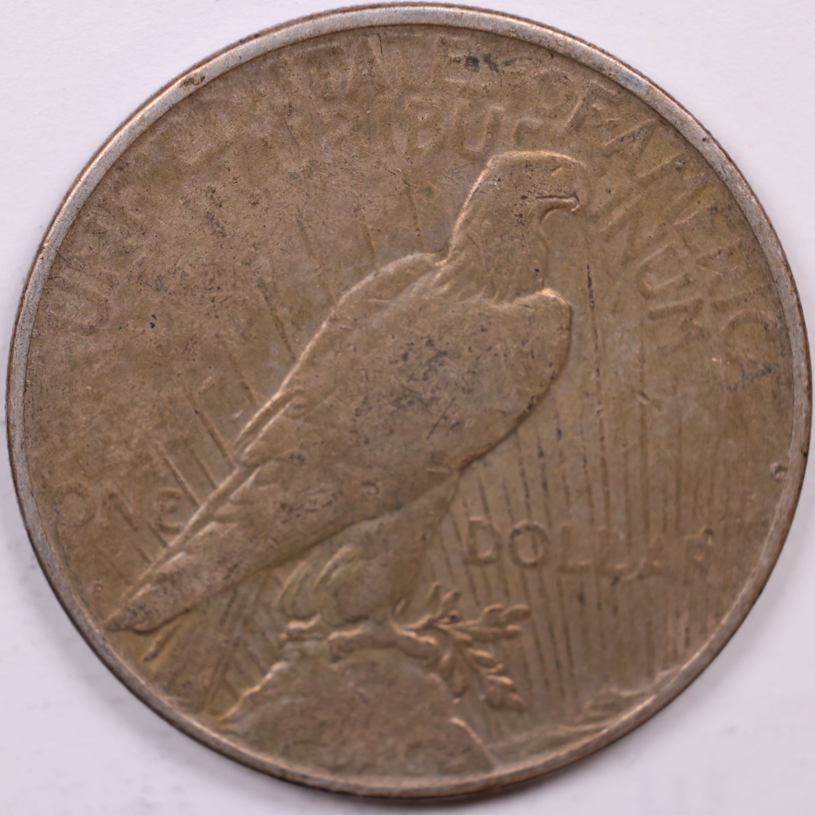 1926-D Peace Dollar, Very Fine Circulated, Store #DR1556